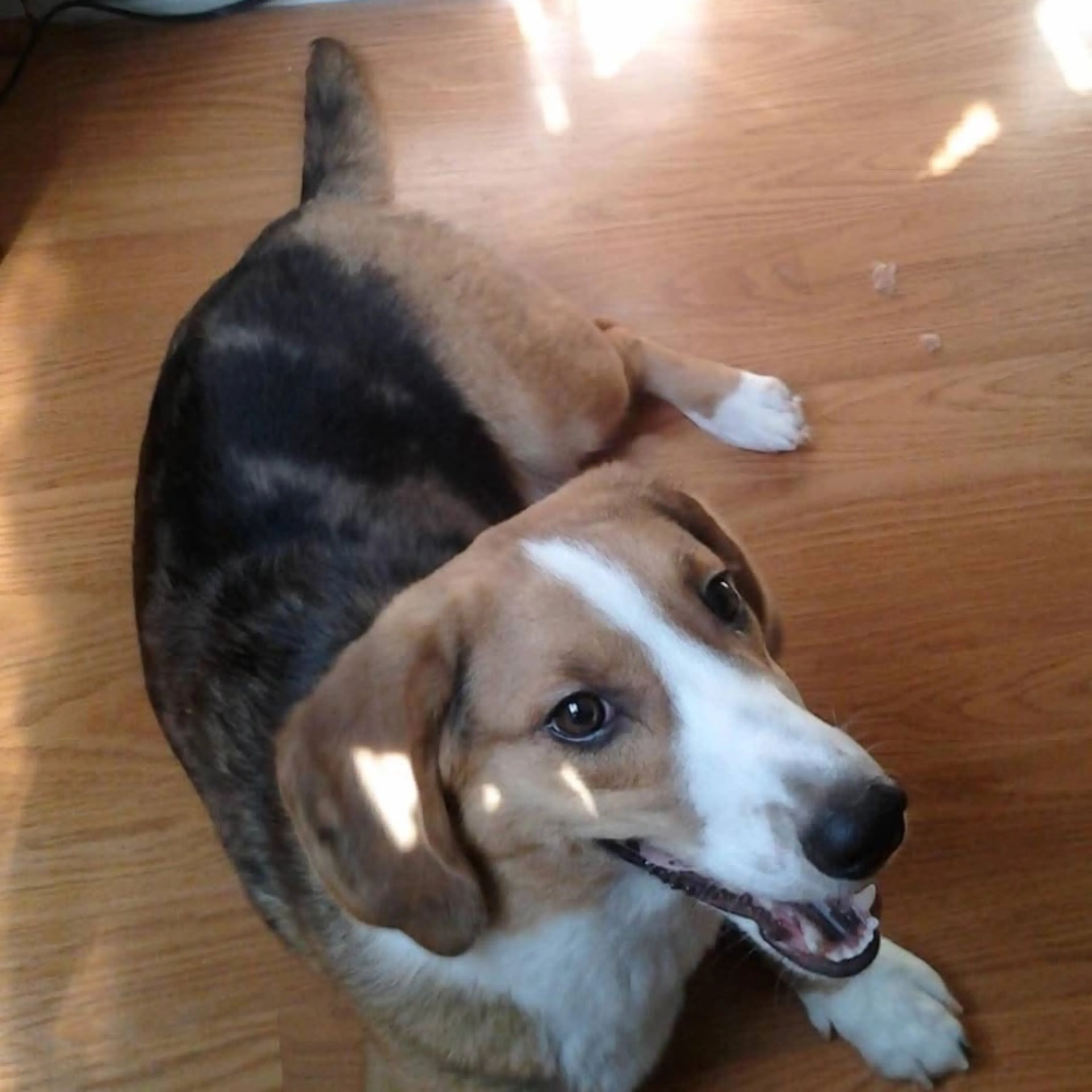 -0