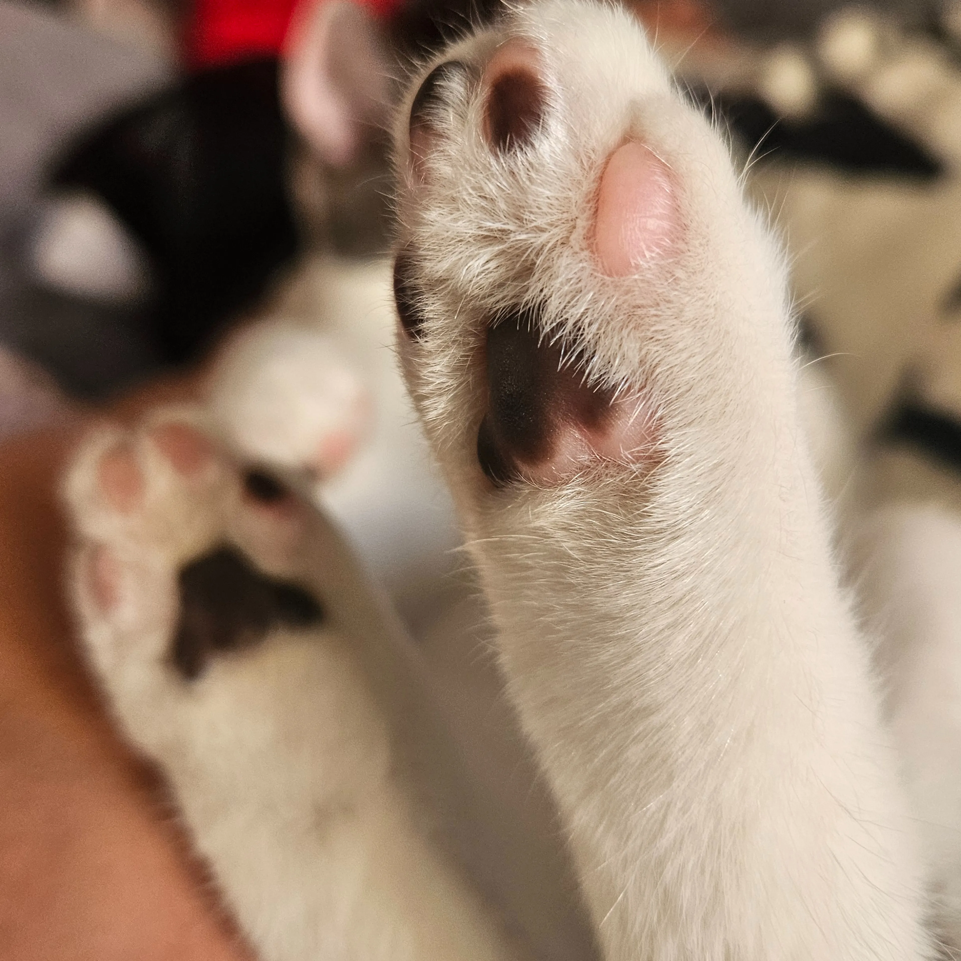 -3