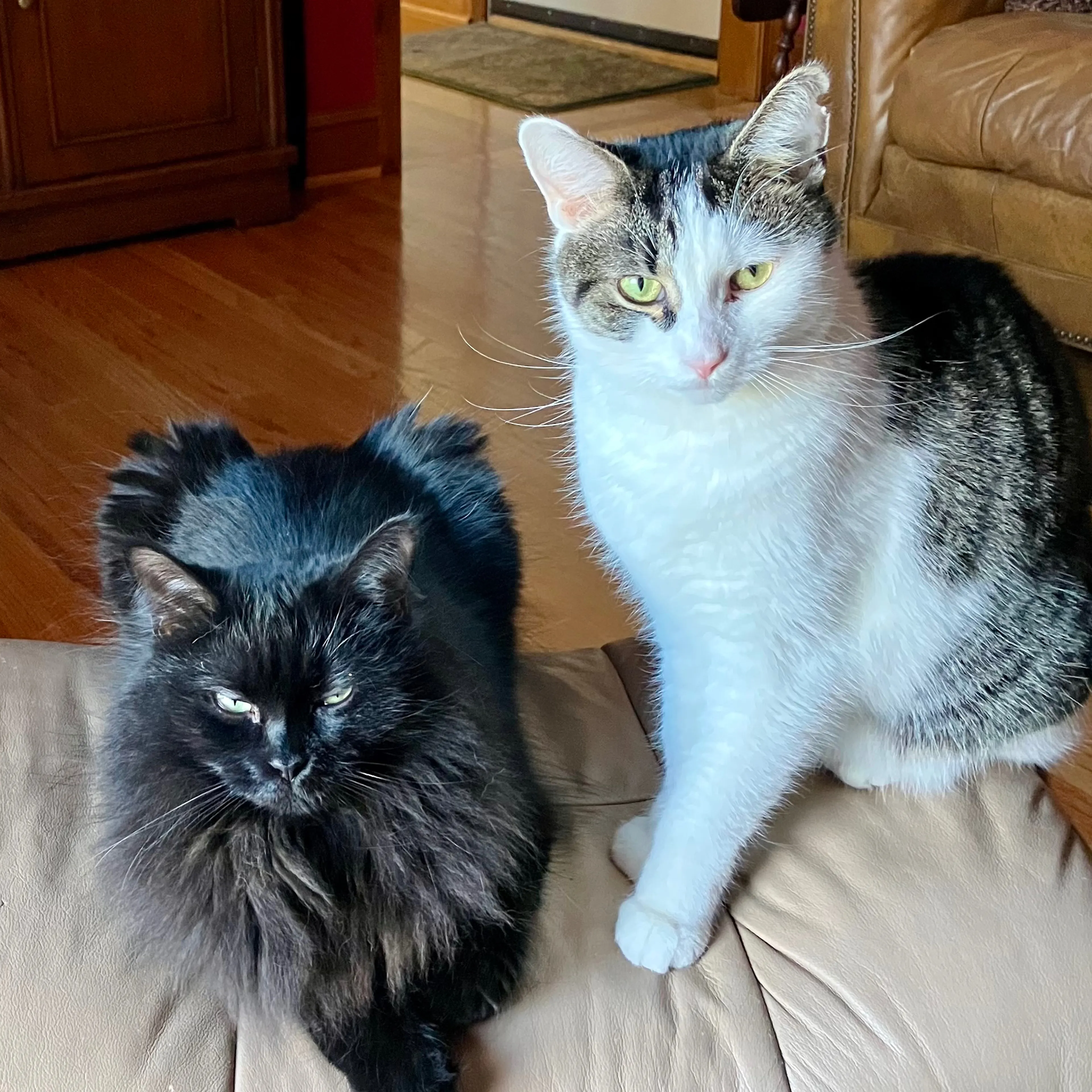-2