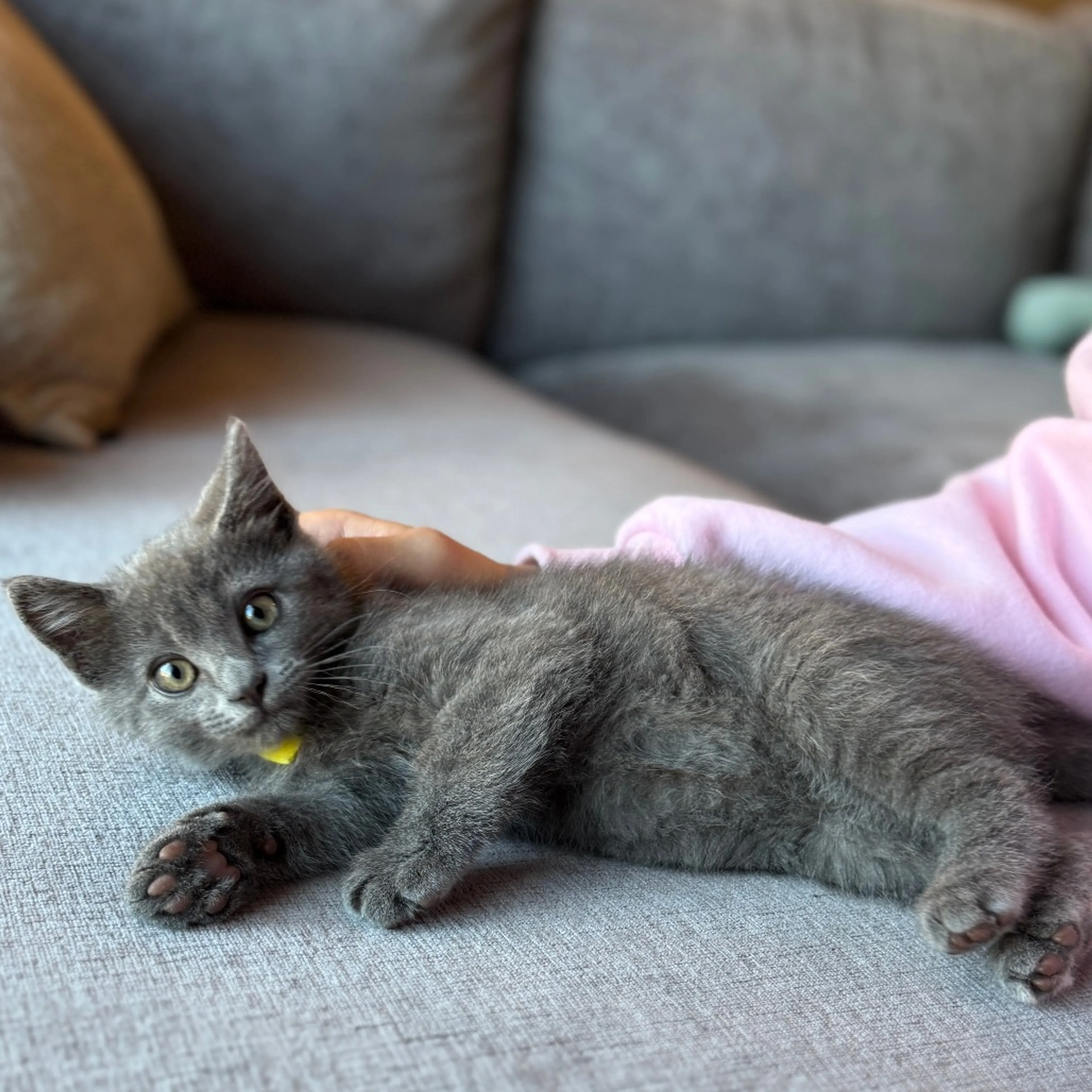 -2