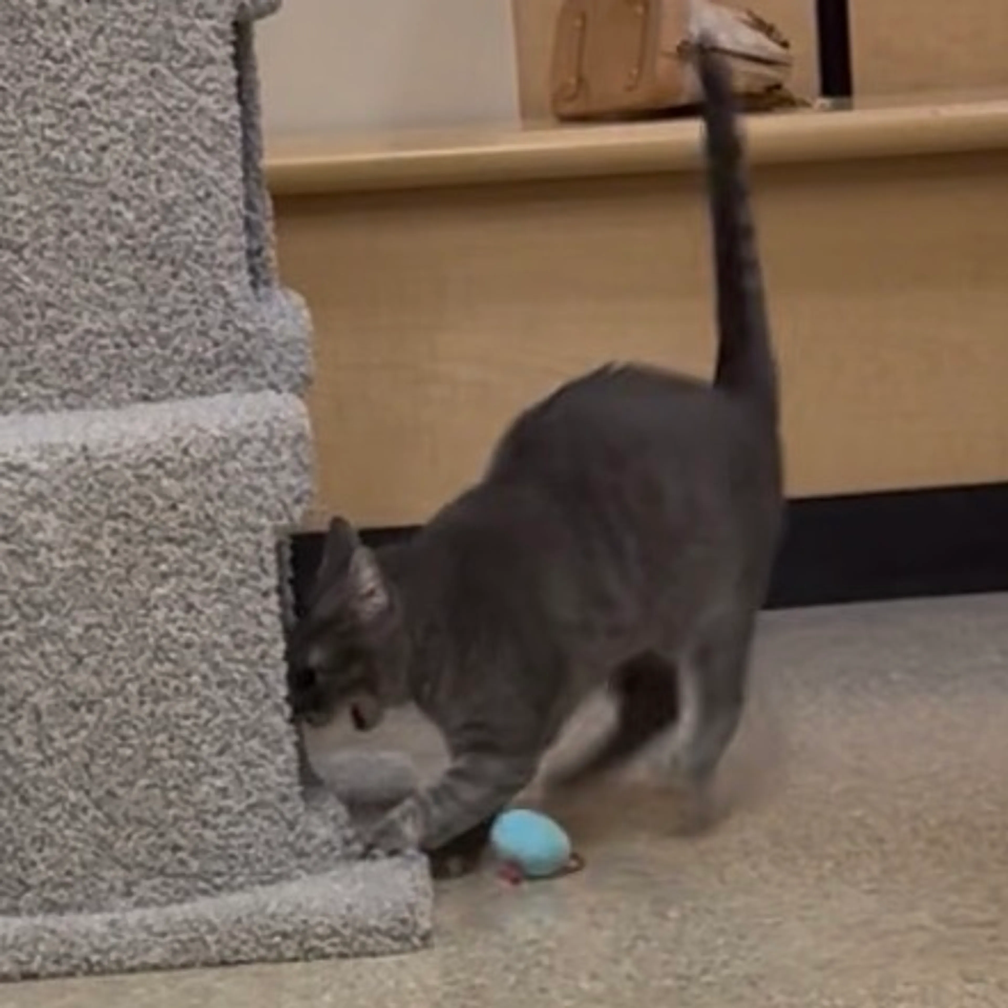 -4