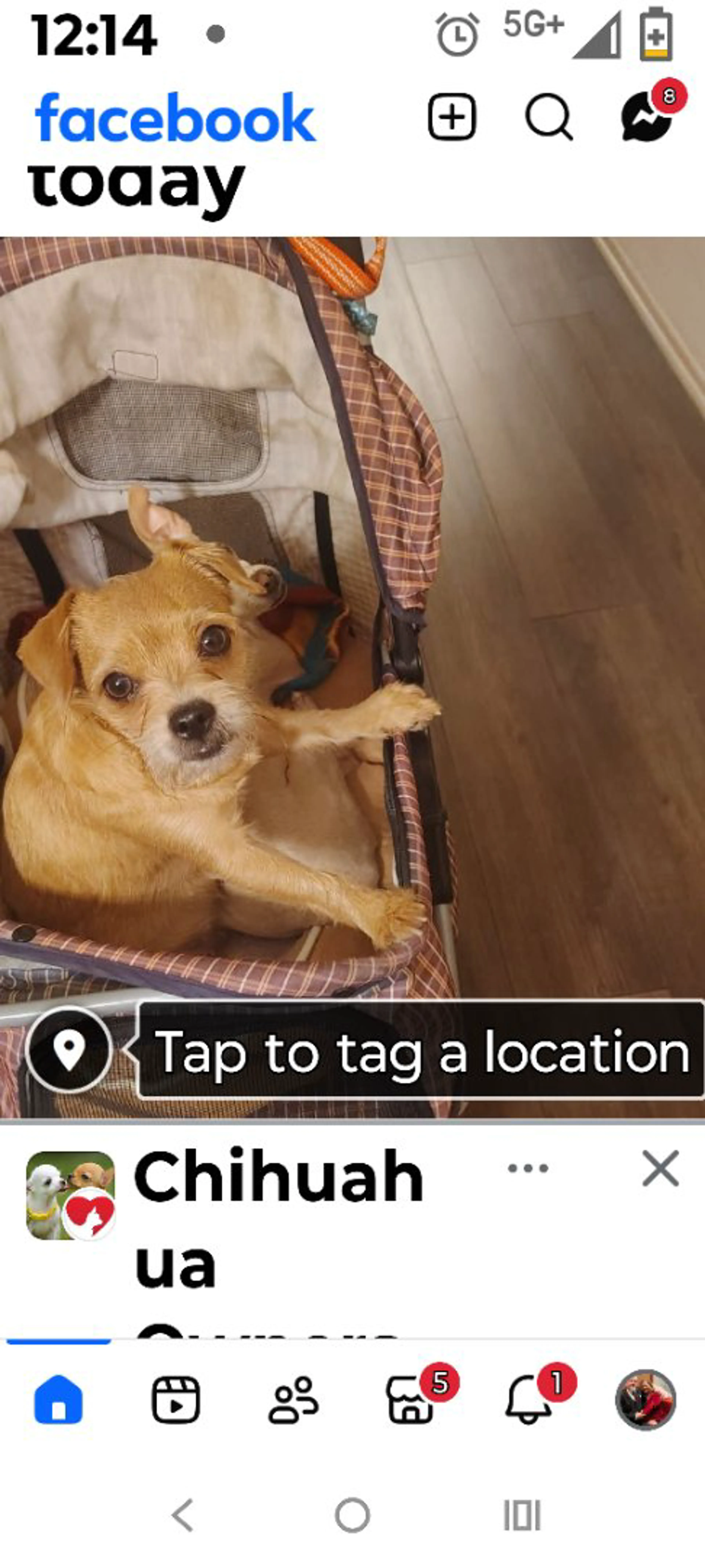 cdn image