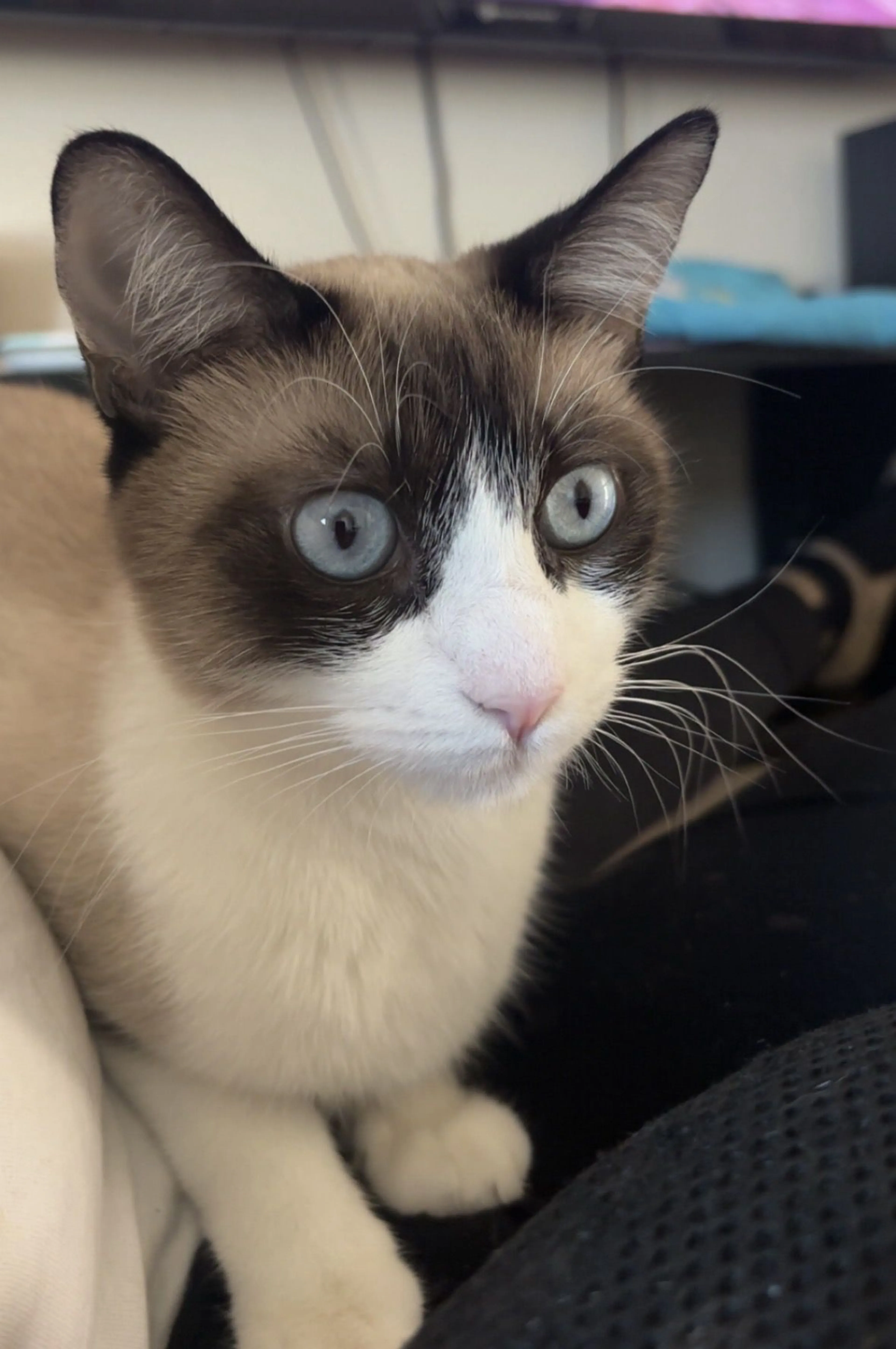 -0