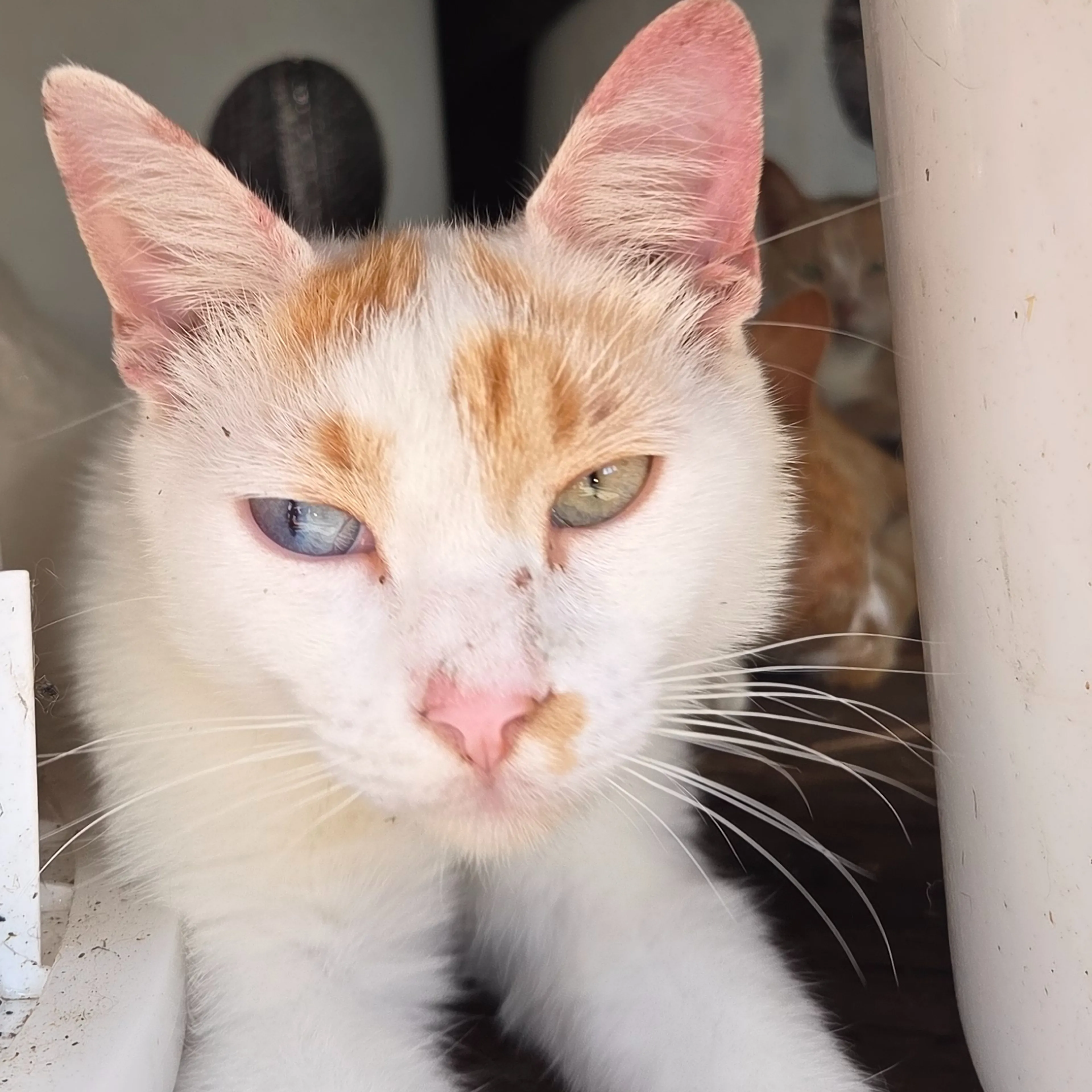 -2