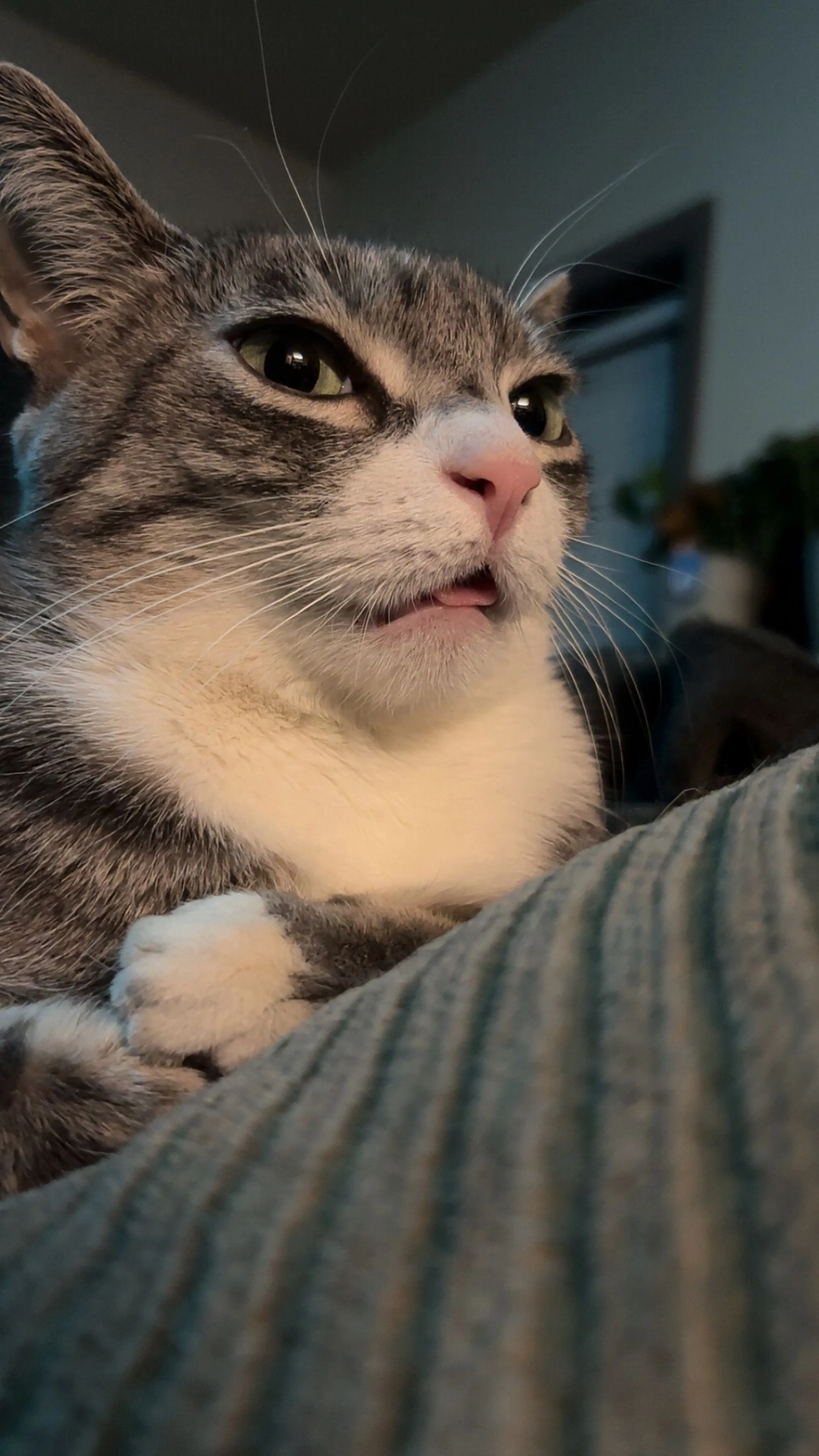 -1