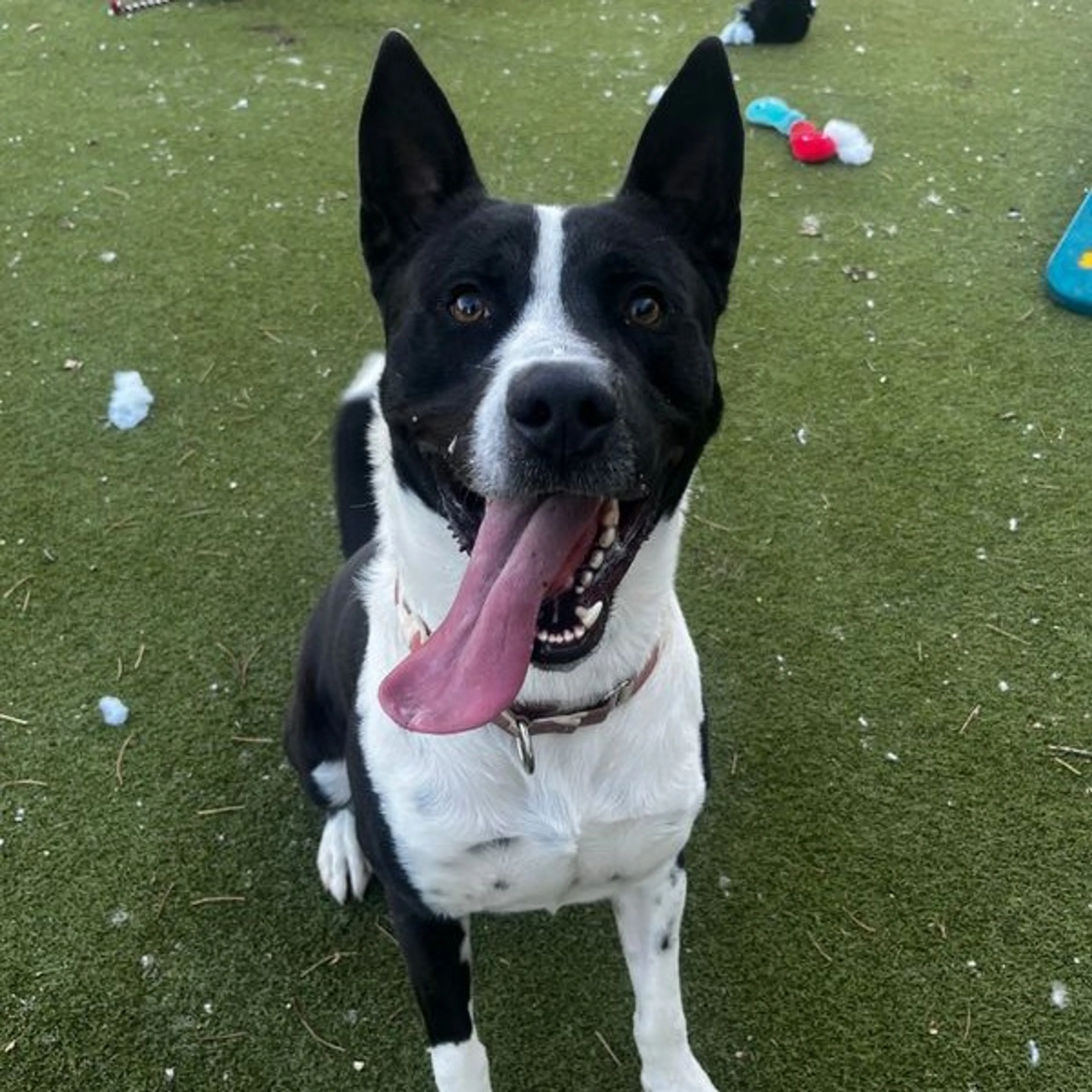 -0