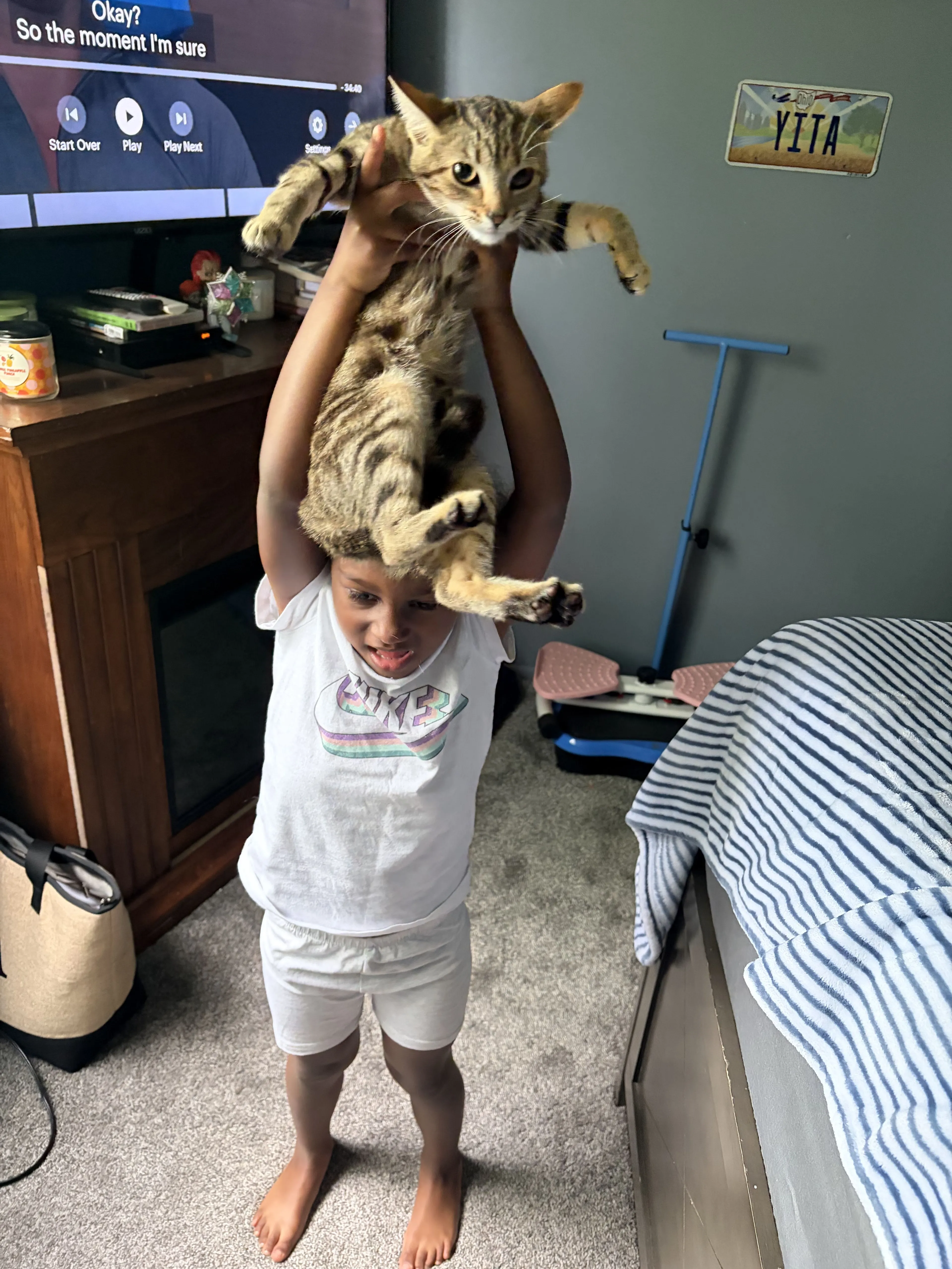 Lost pet