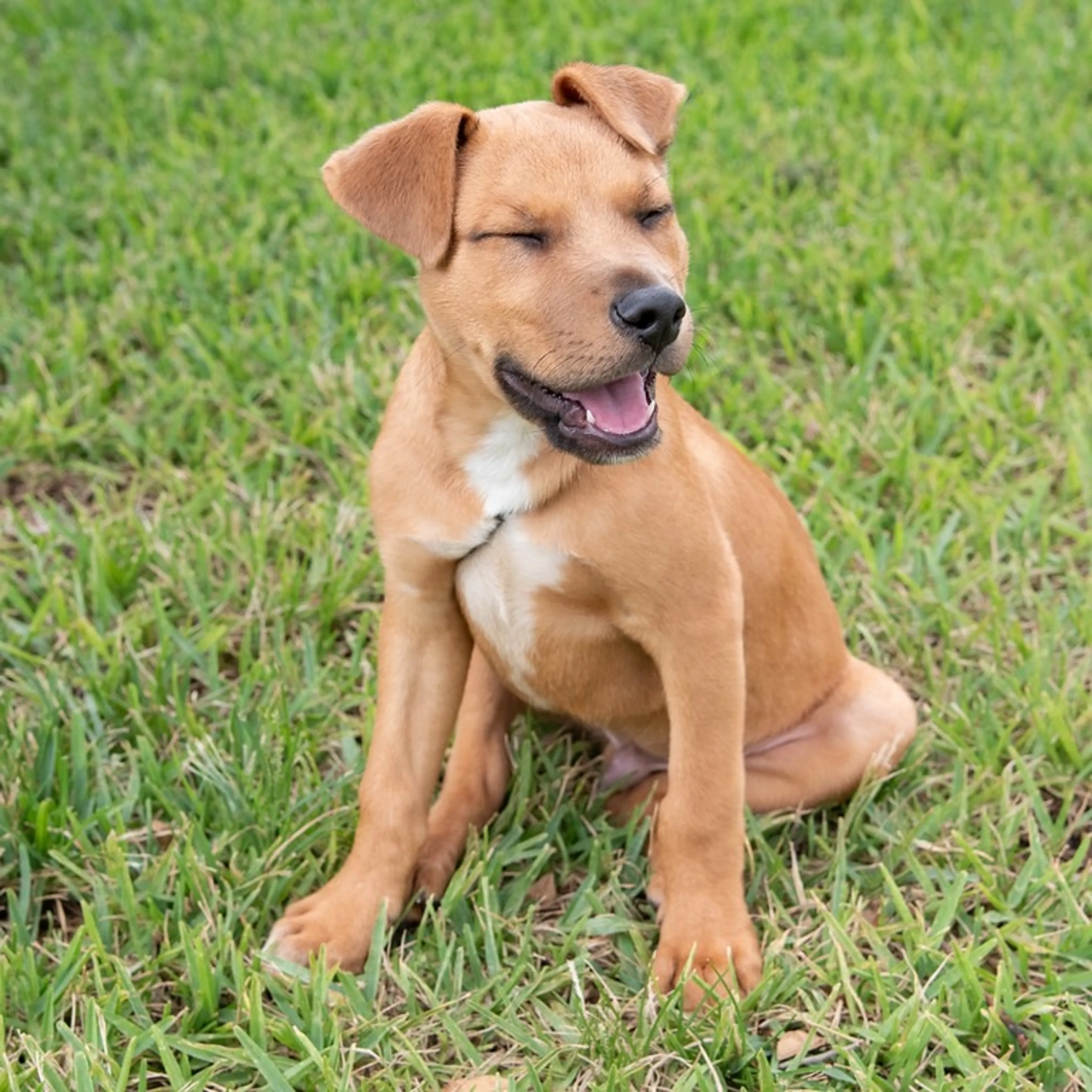 -3