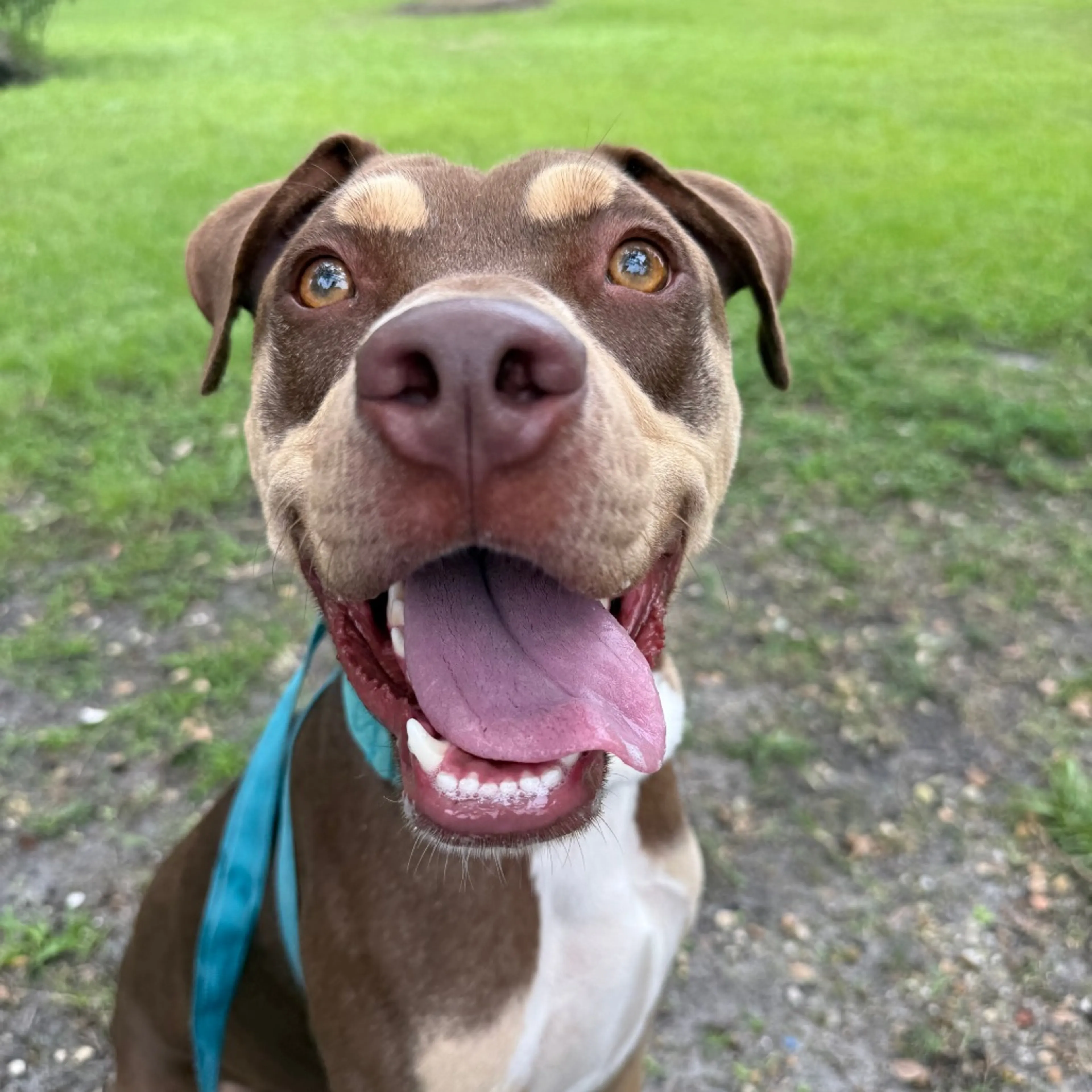 -4