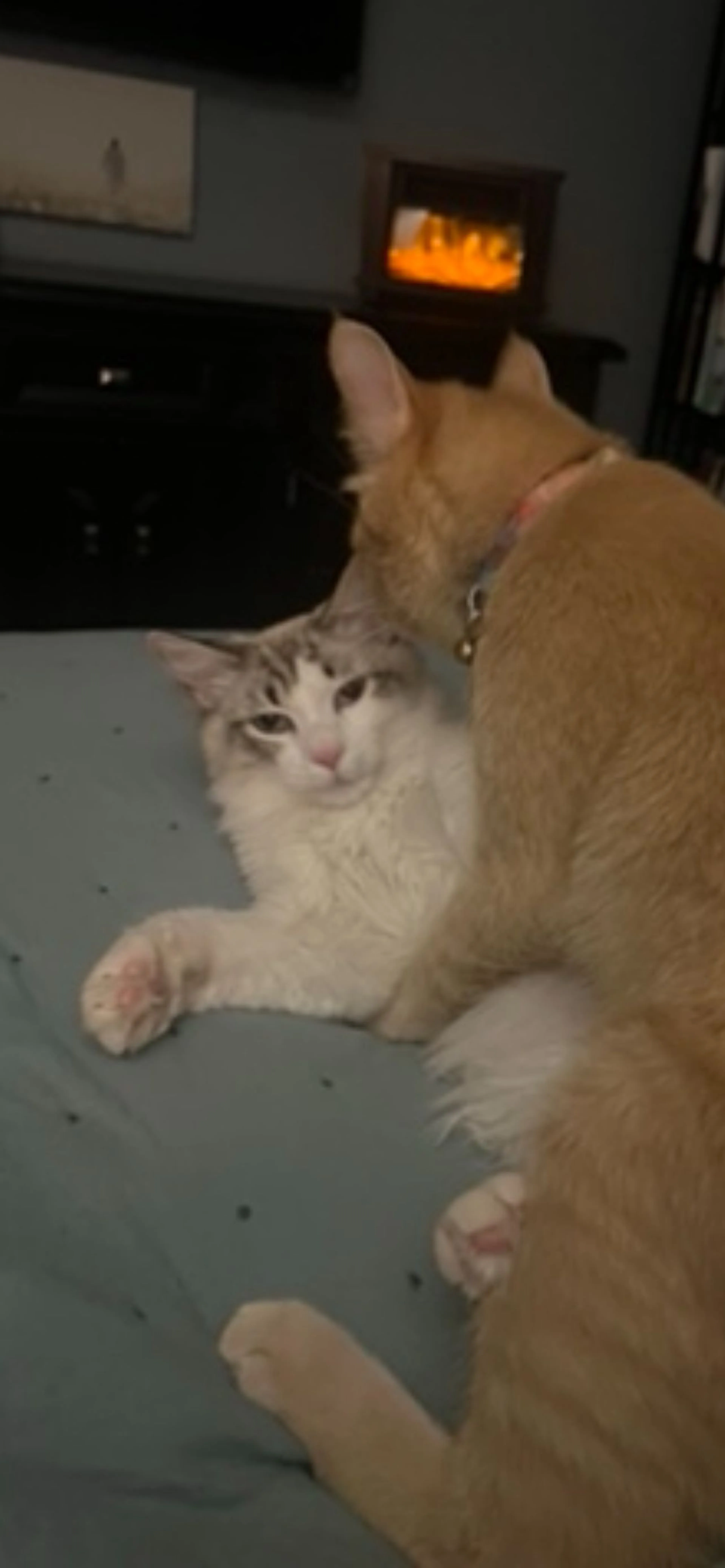 -2