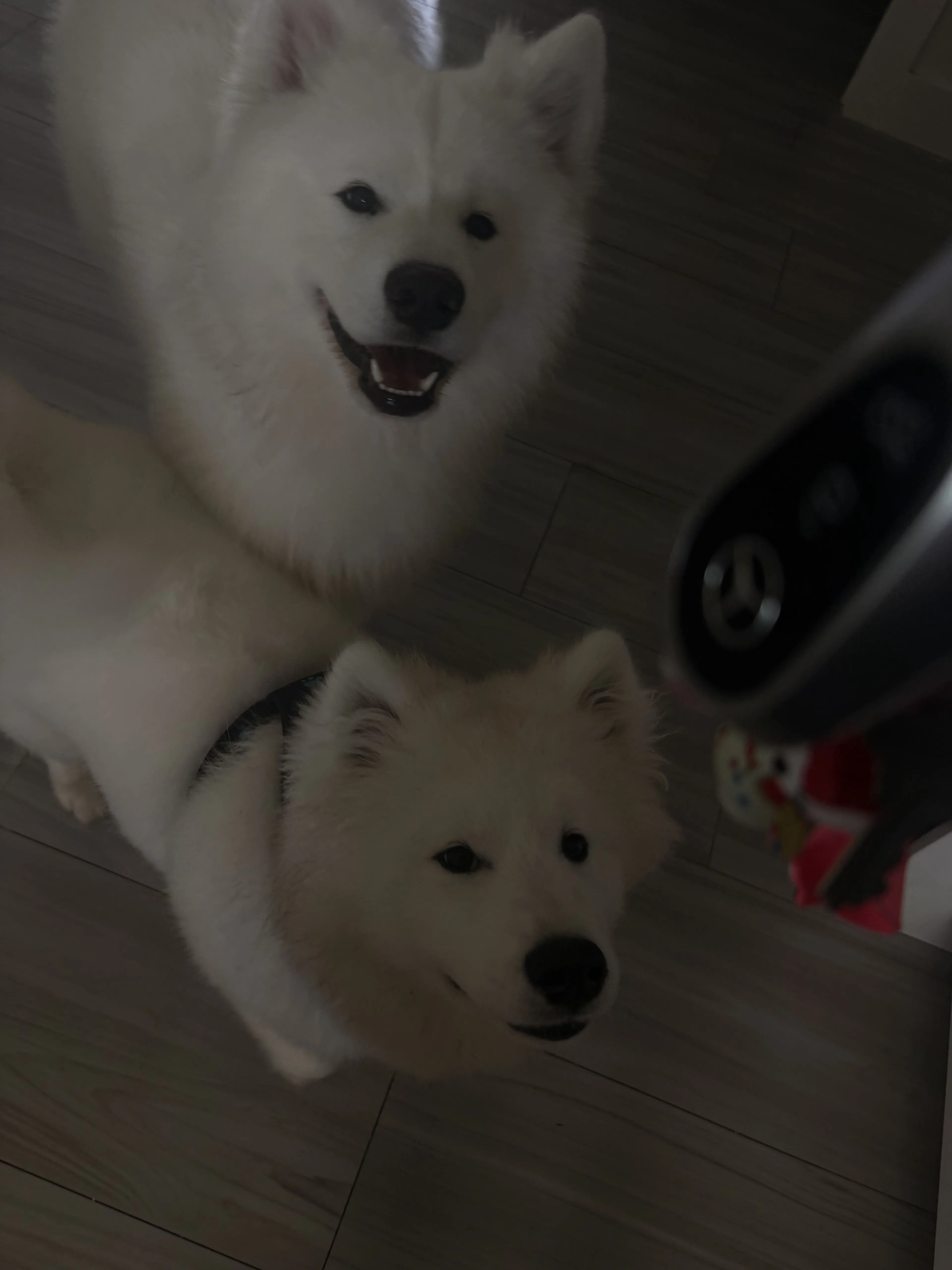 -4