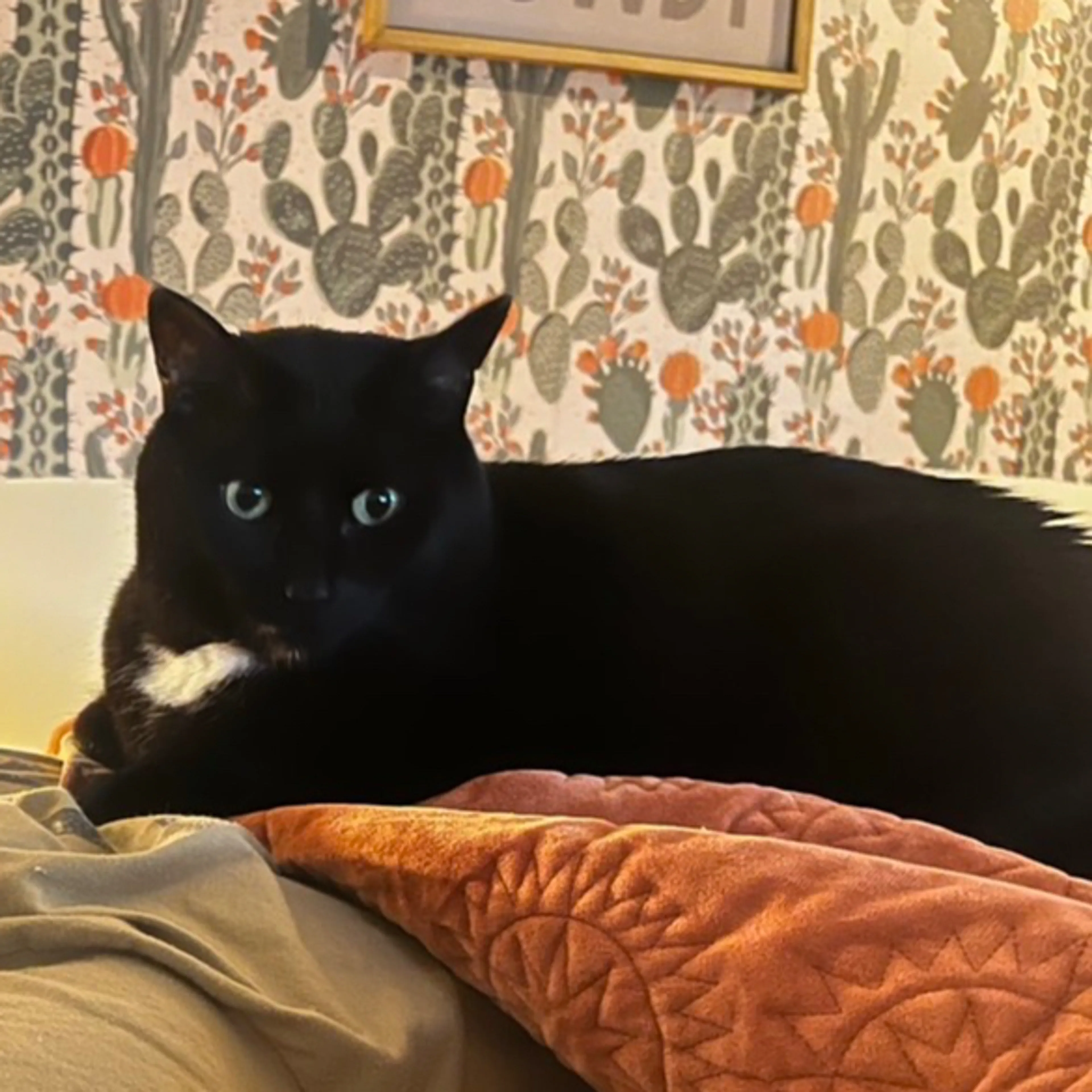 -0