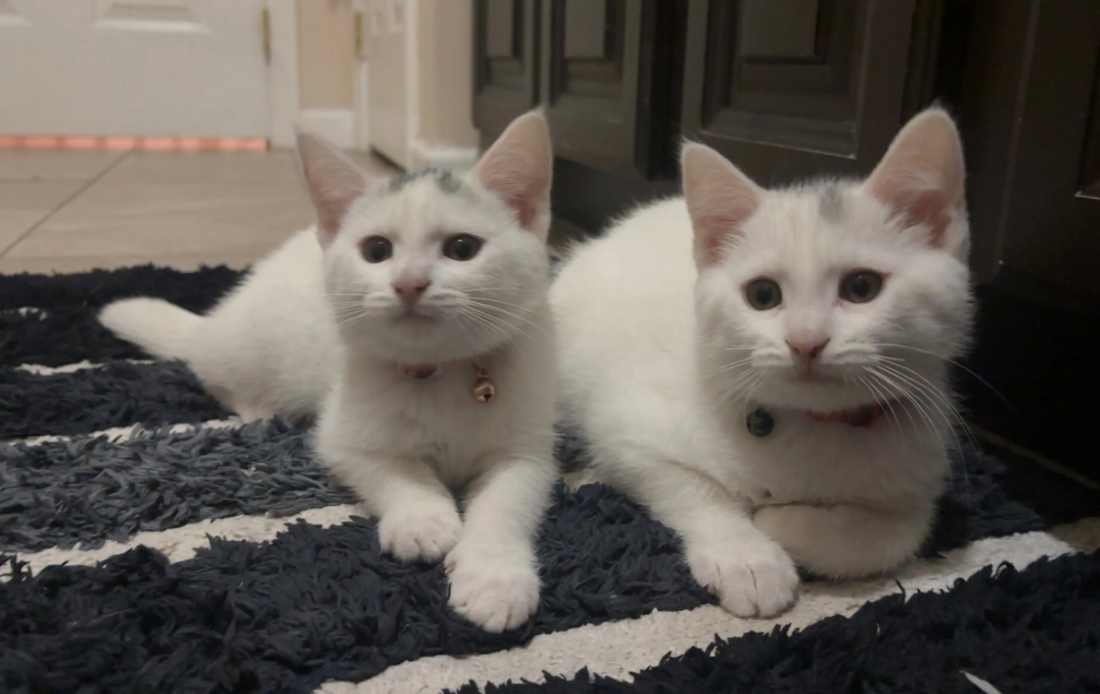 -3