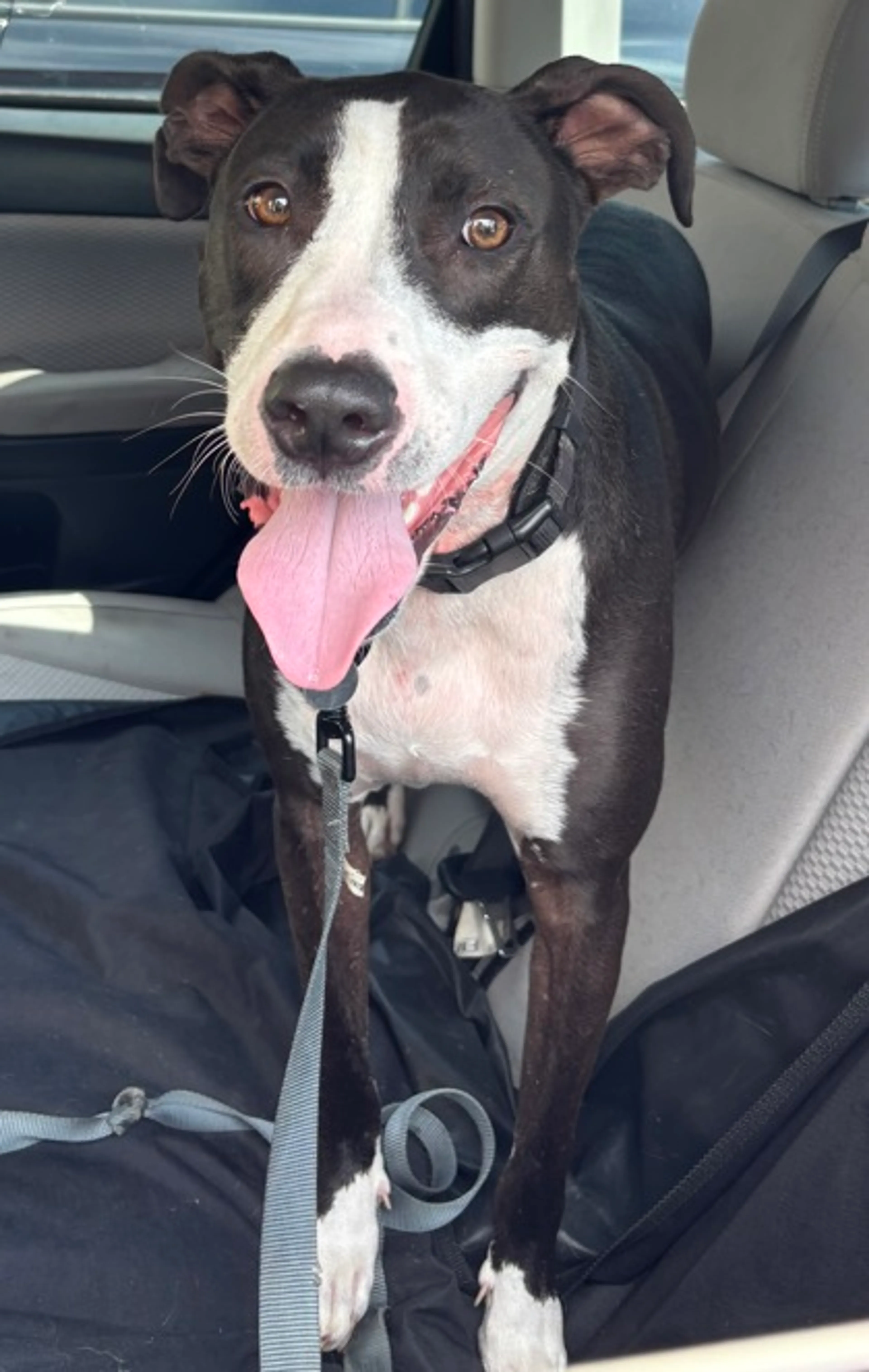 -1