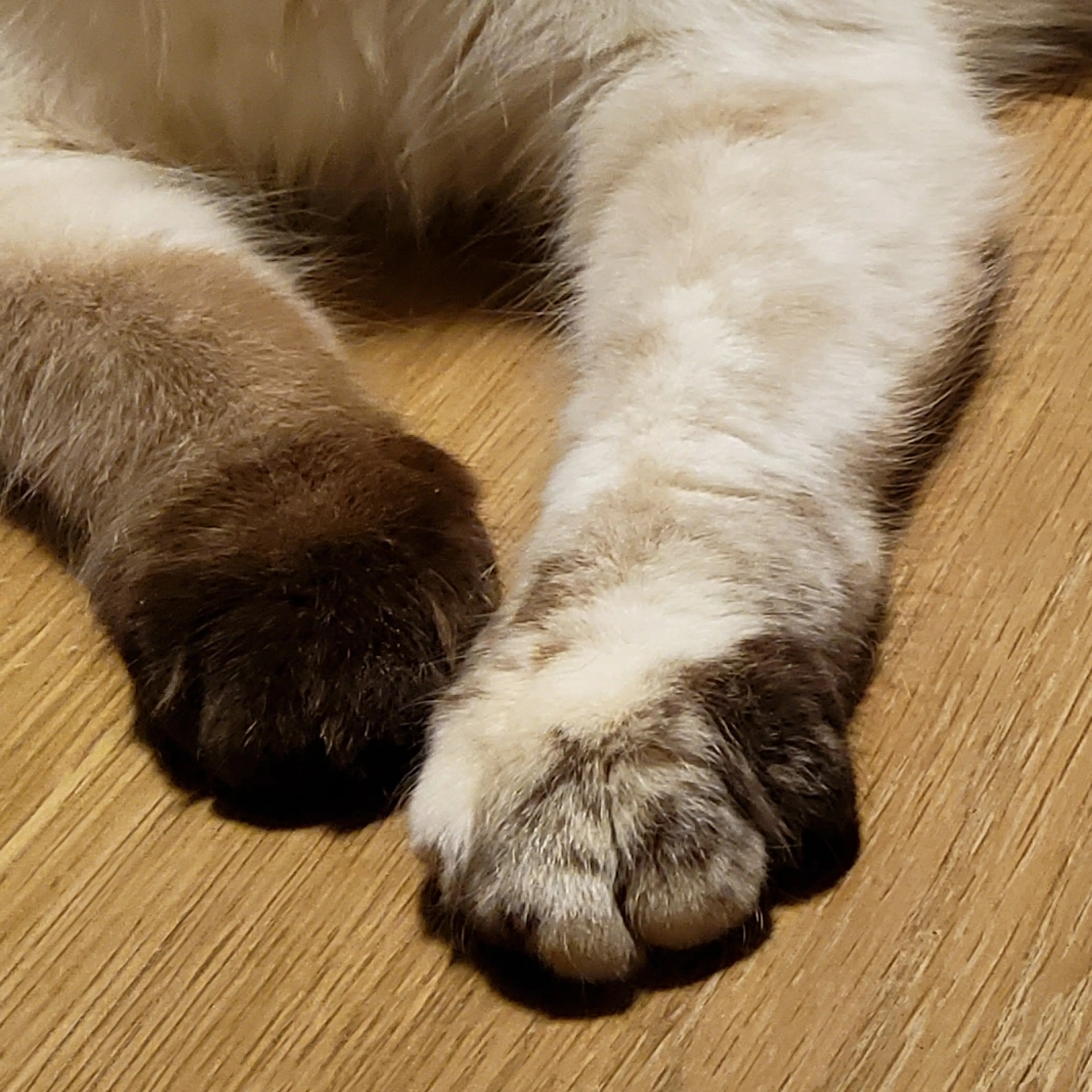 -3