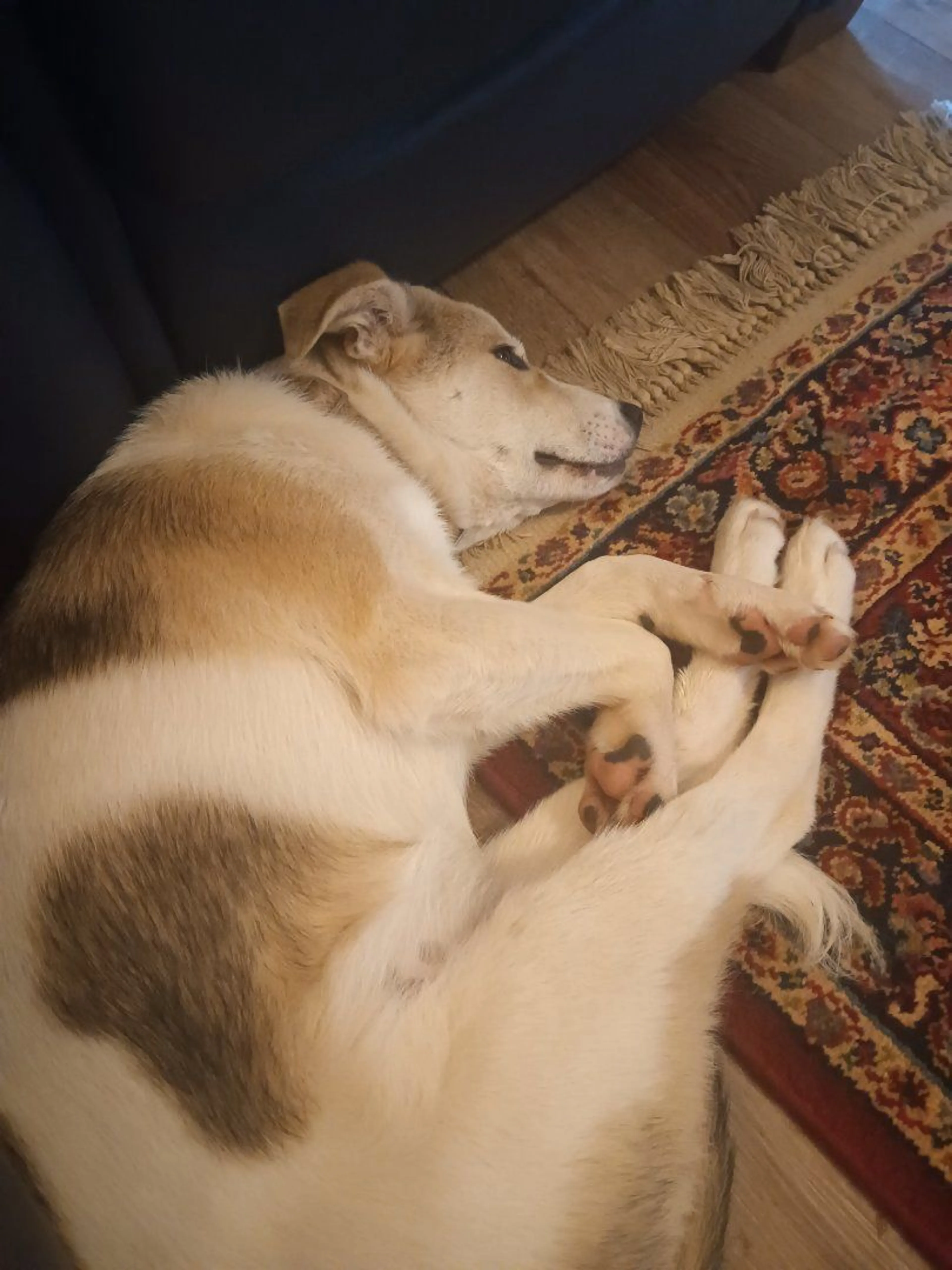 -1