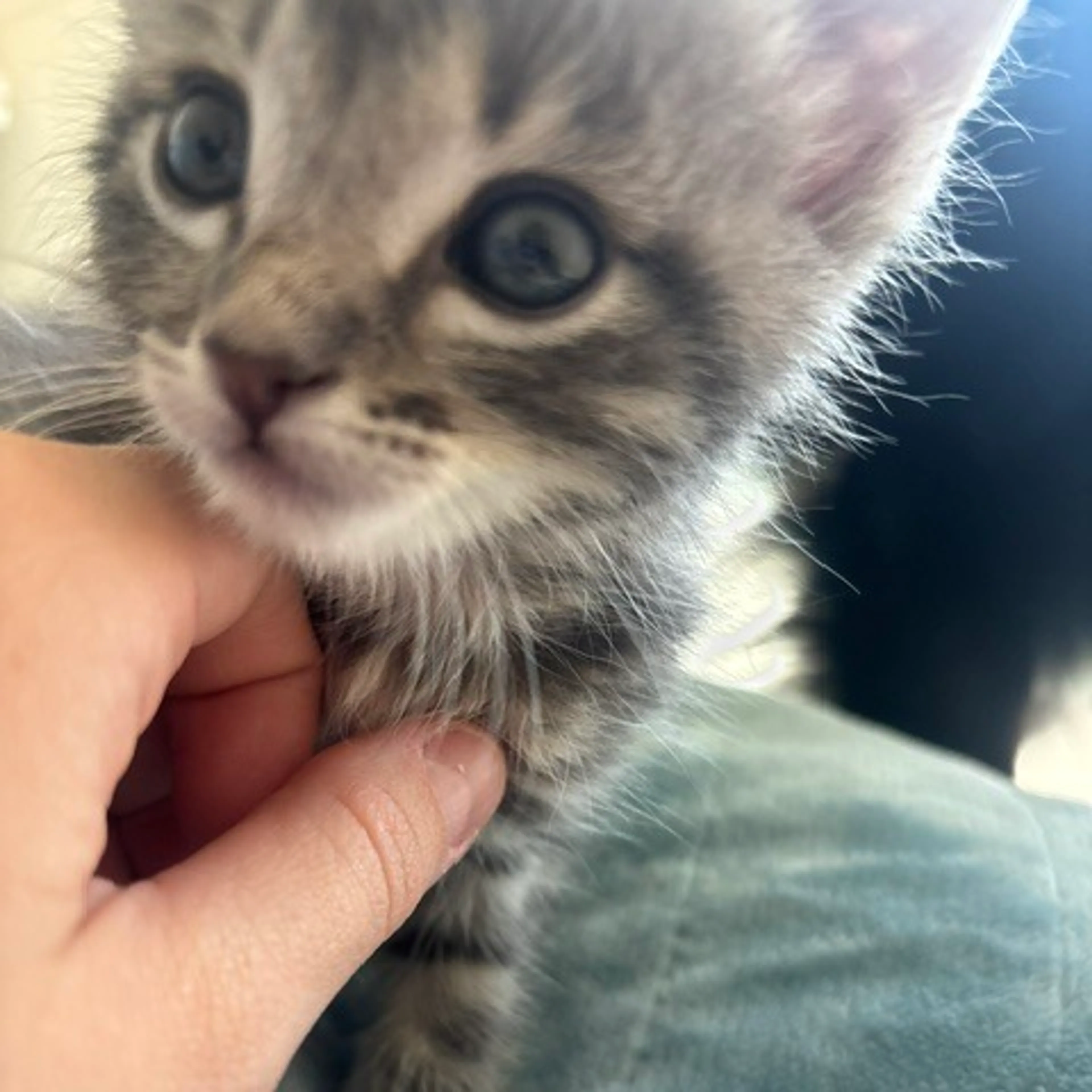 -0