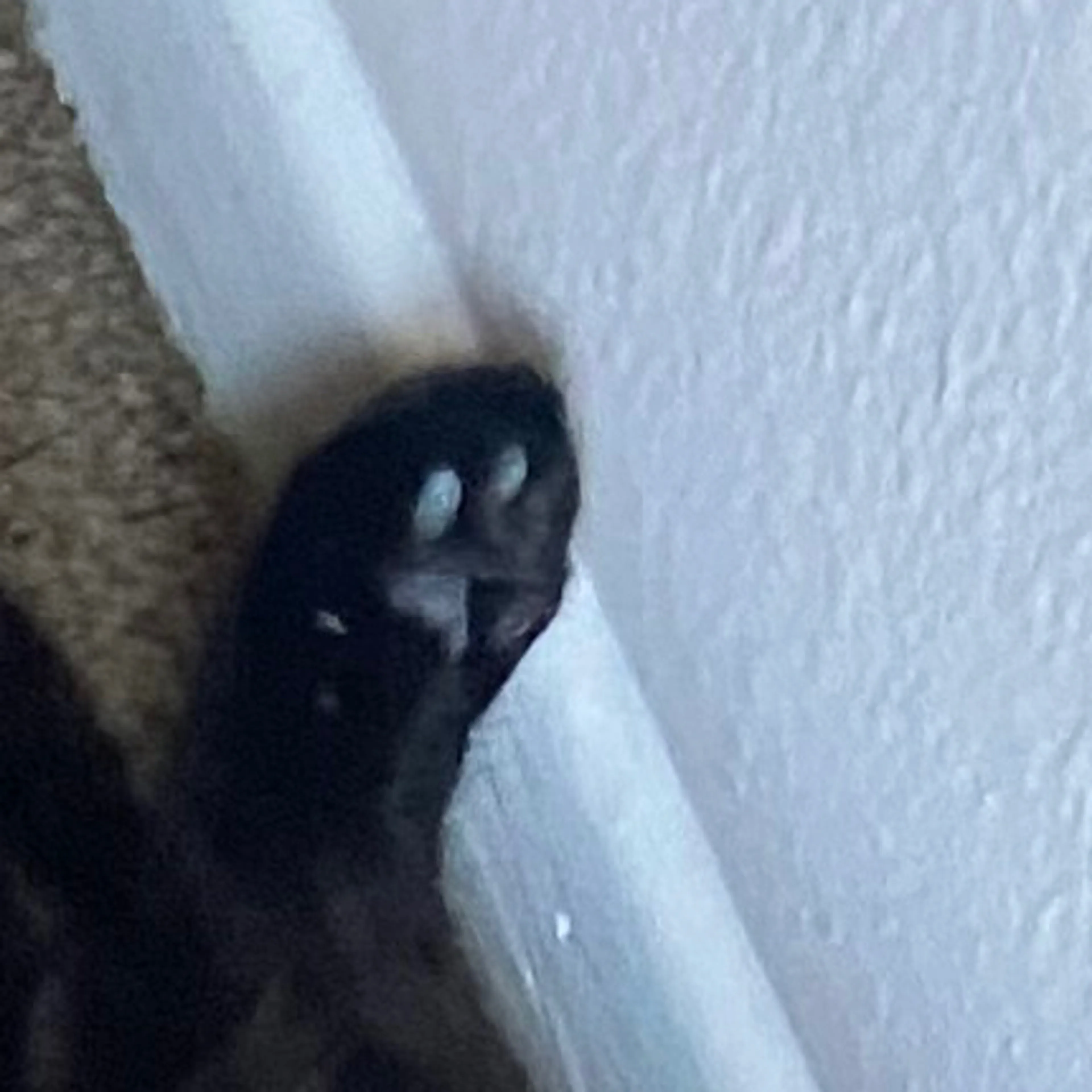 -3