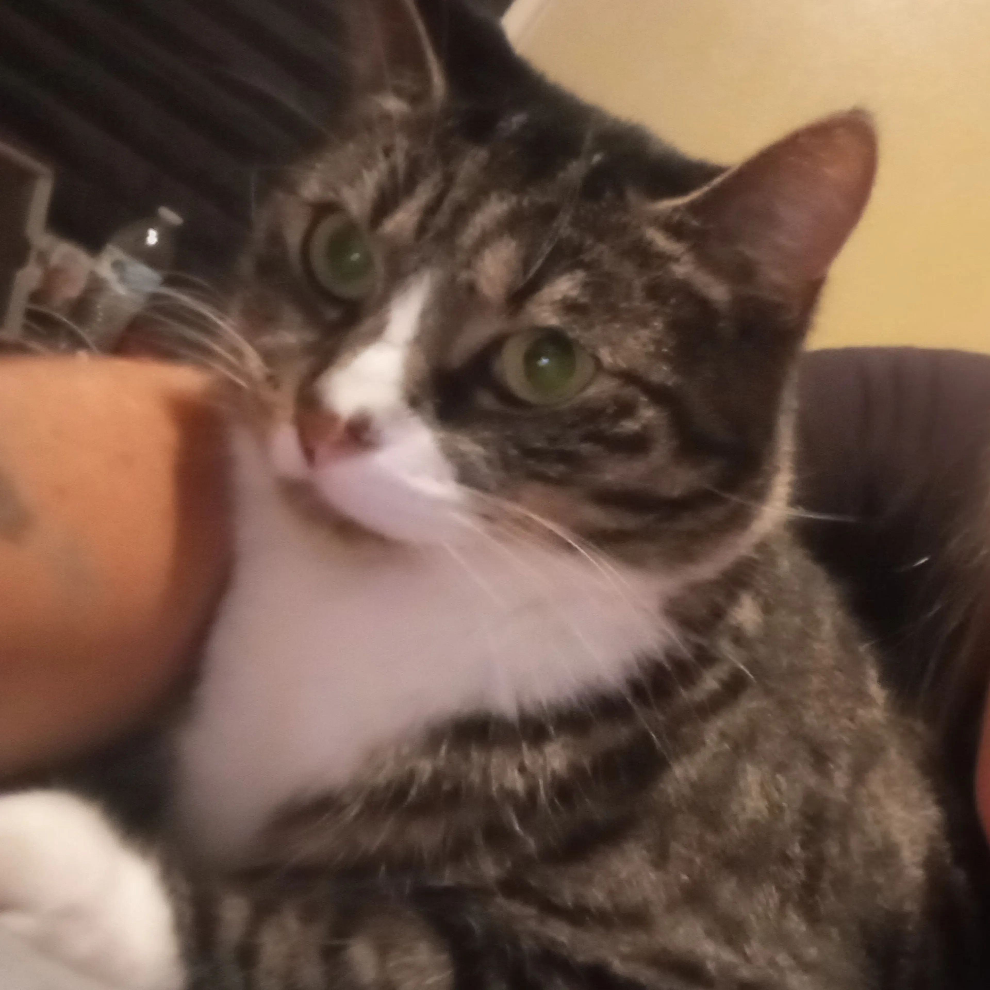 -2