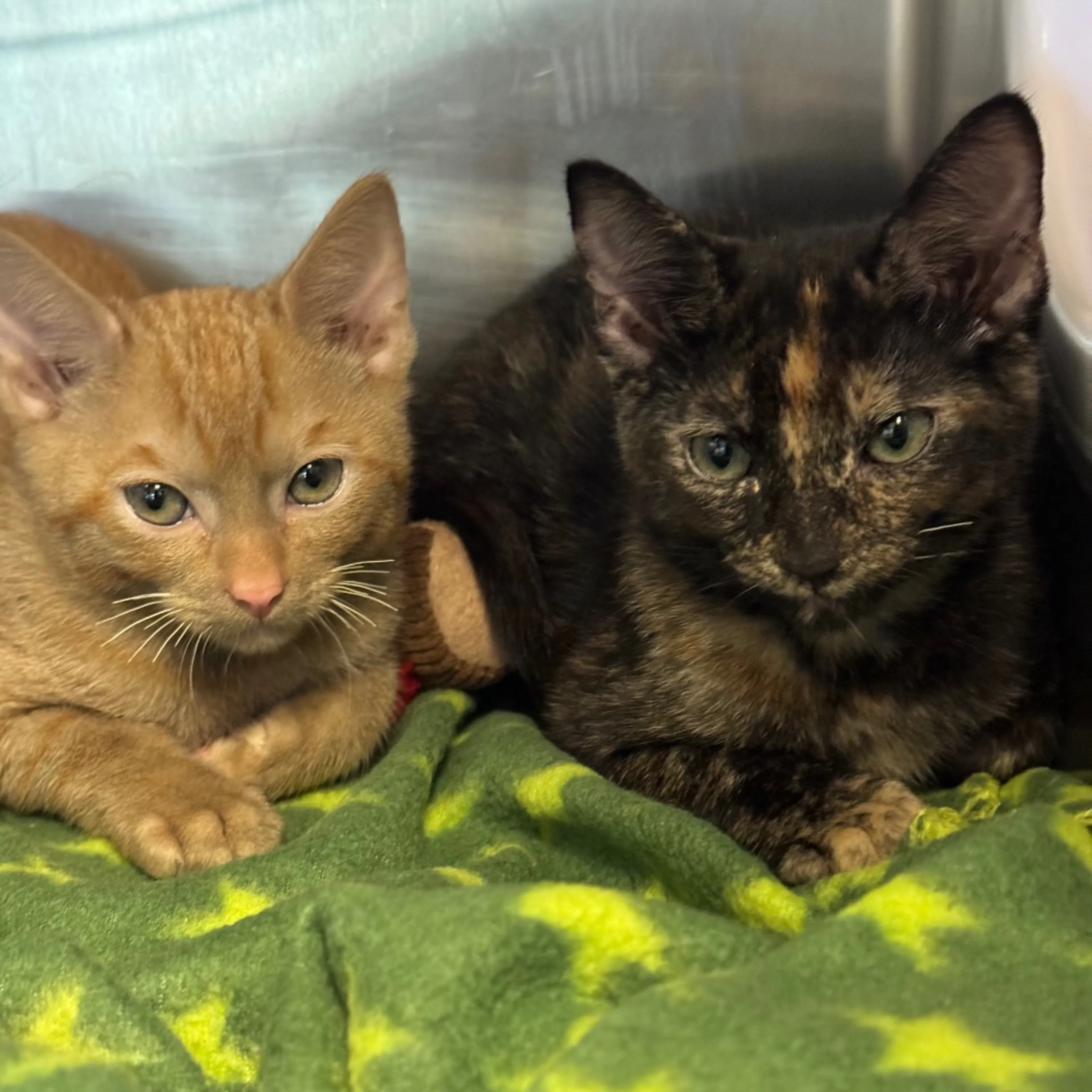 -14