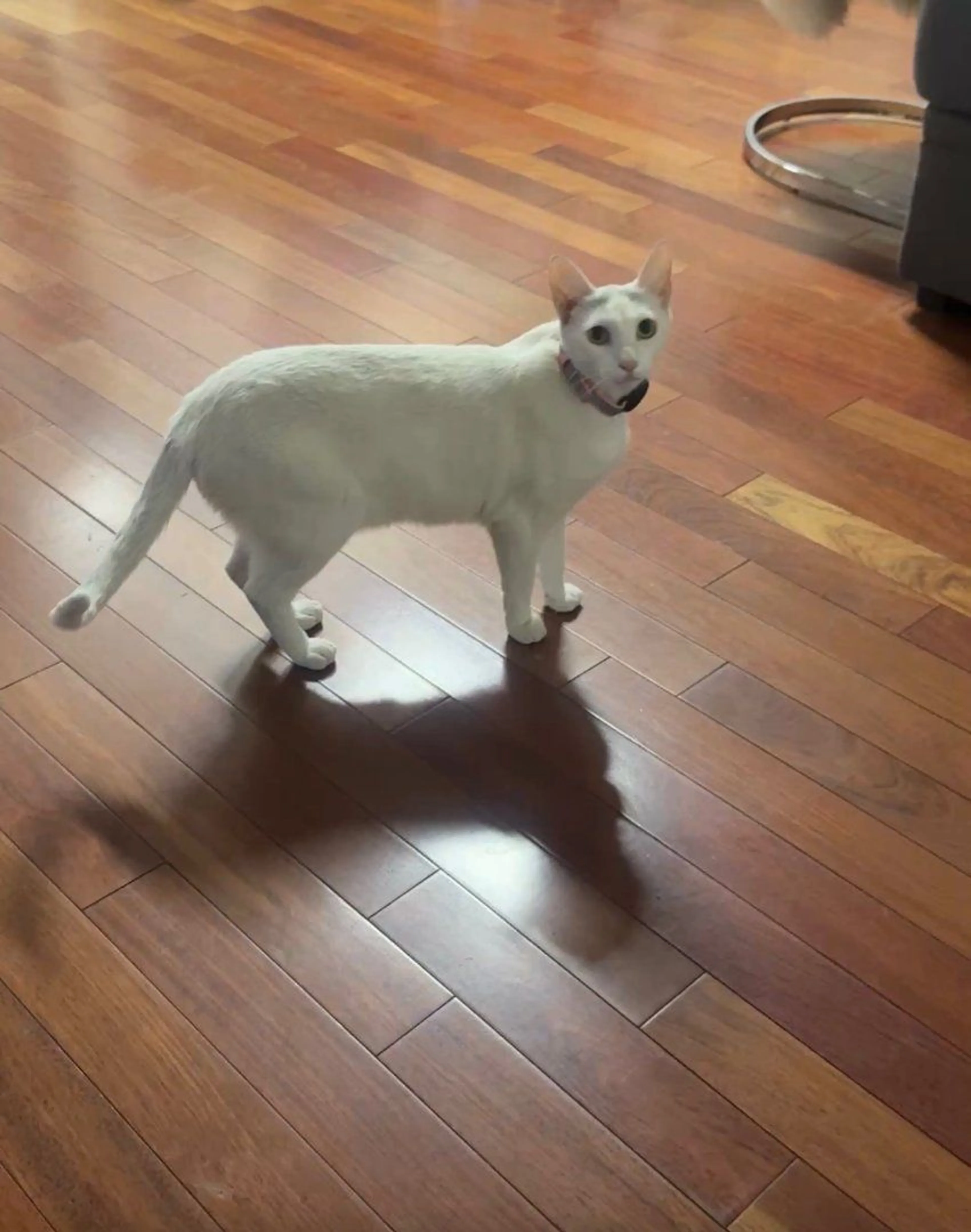 -1
