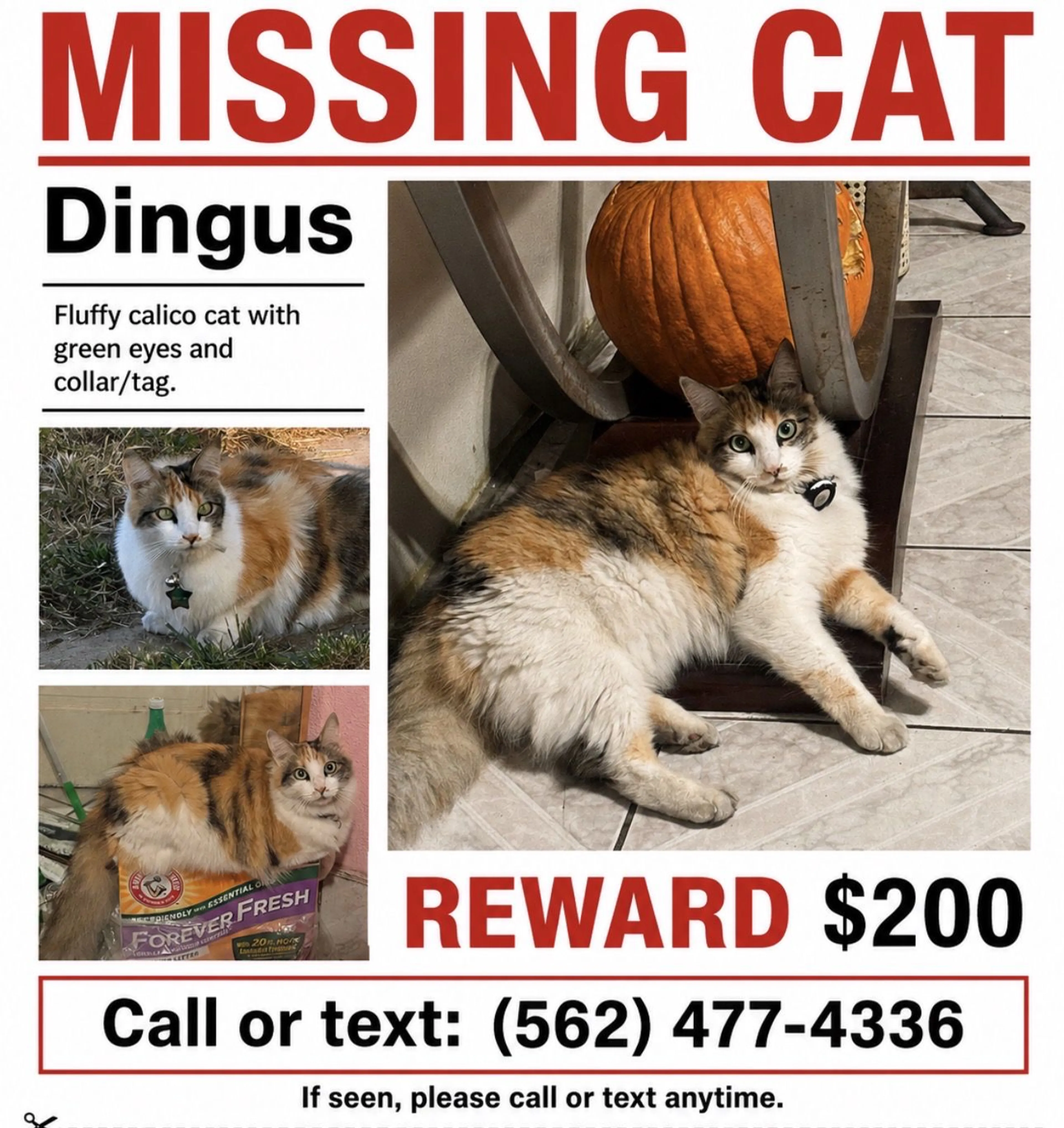 cdn image