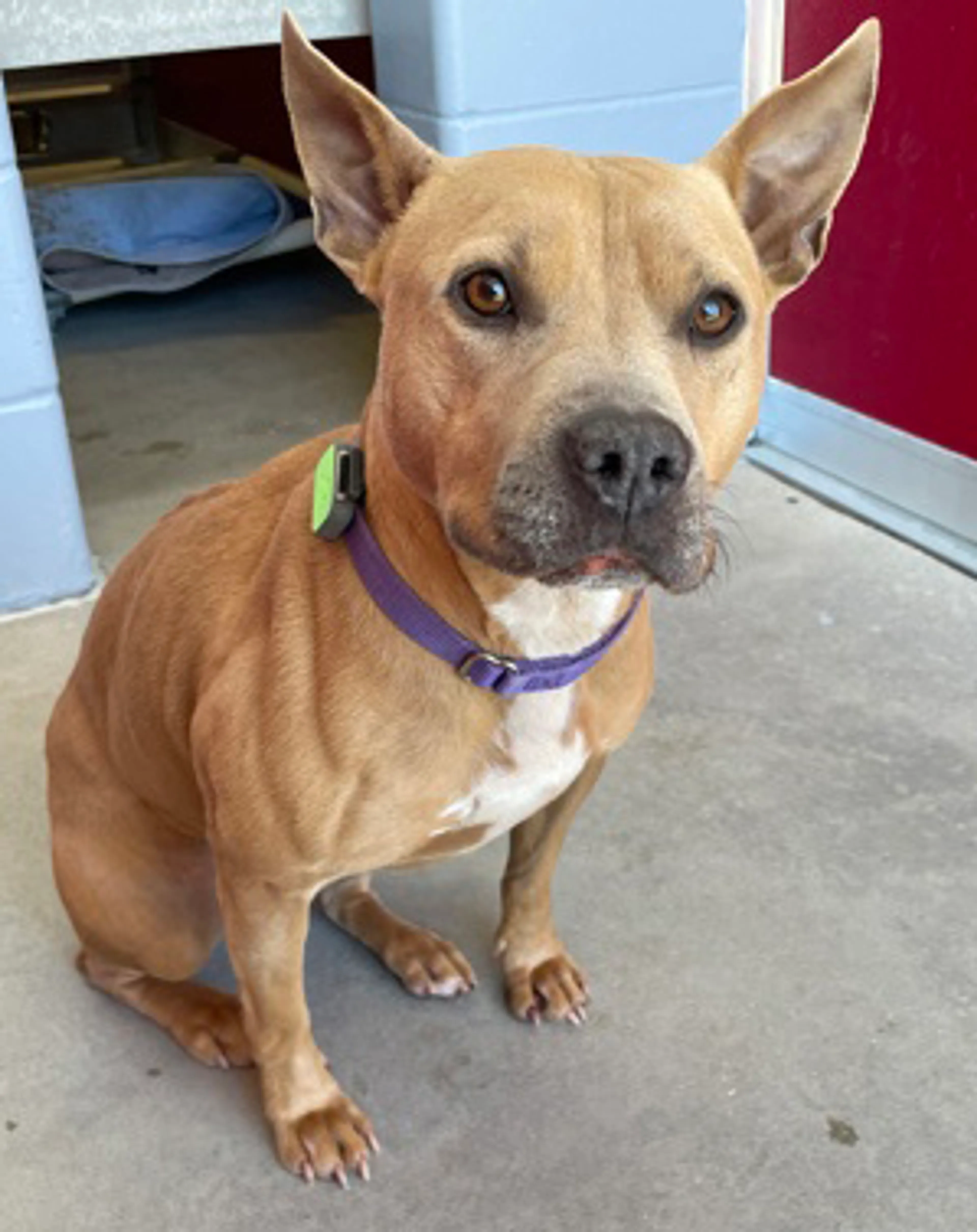 -0