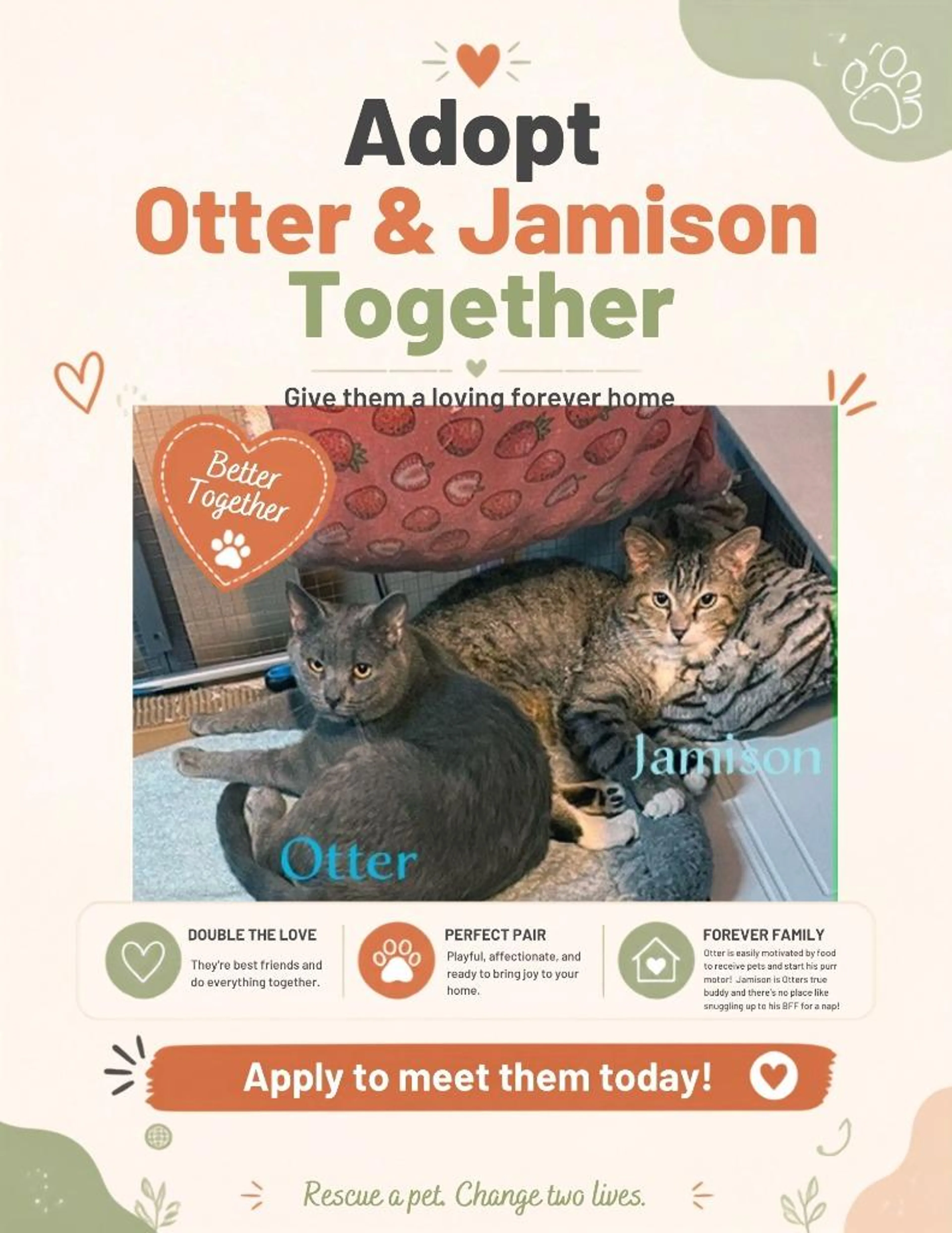 cdn image