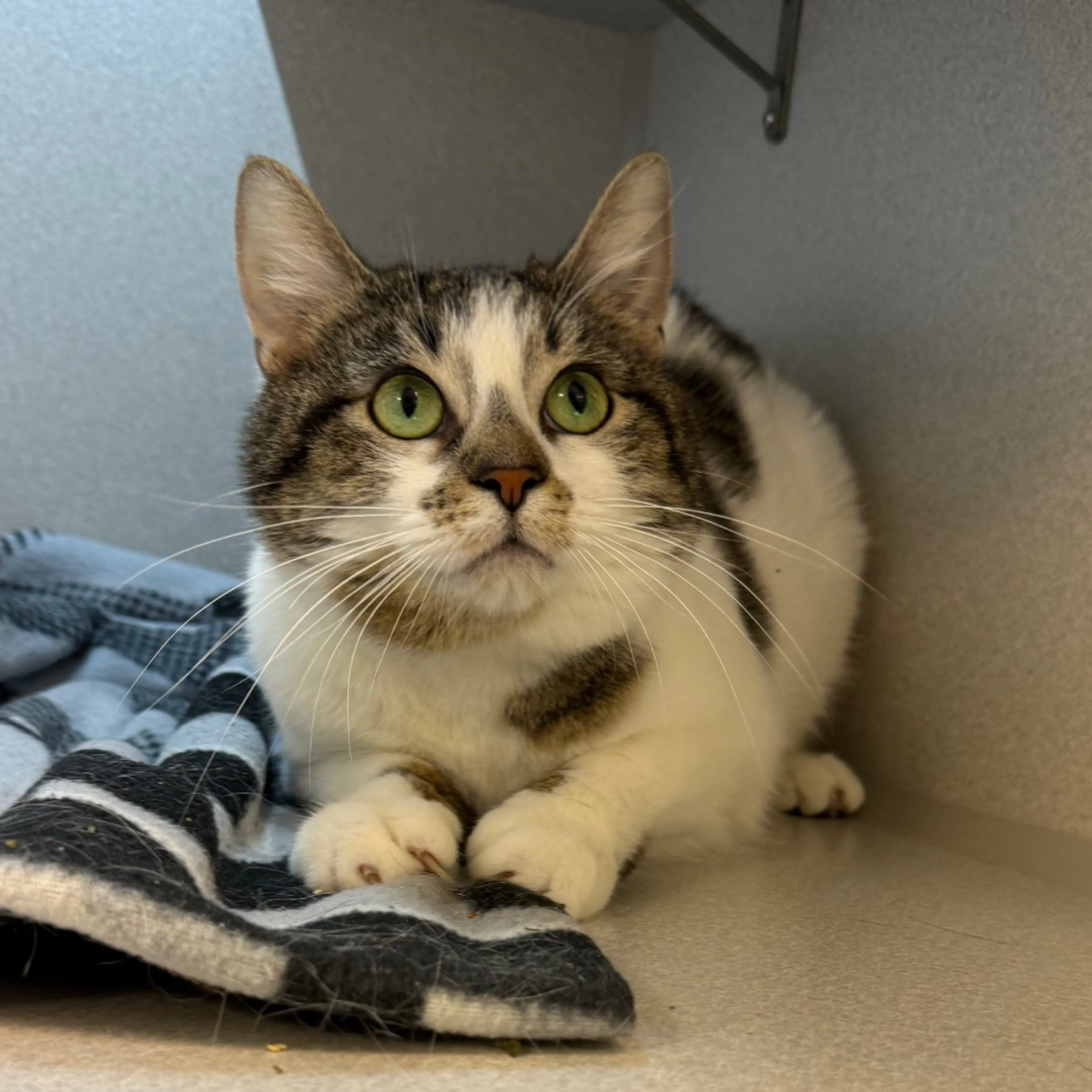 -5