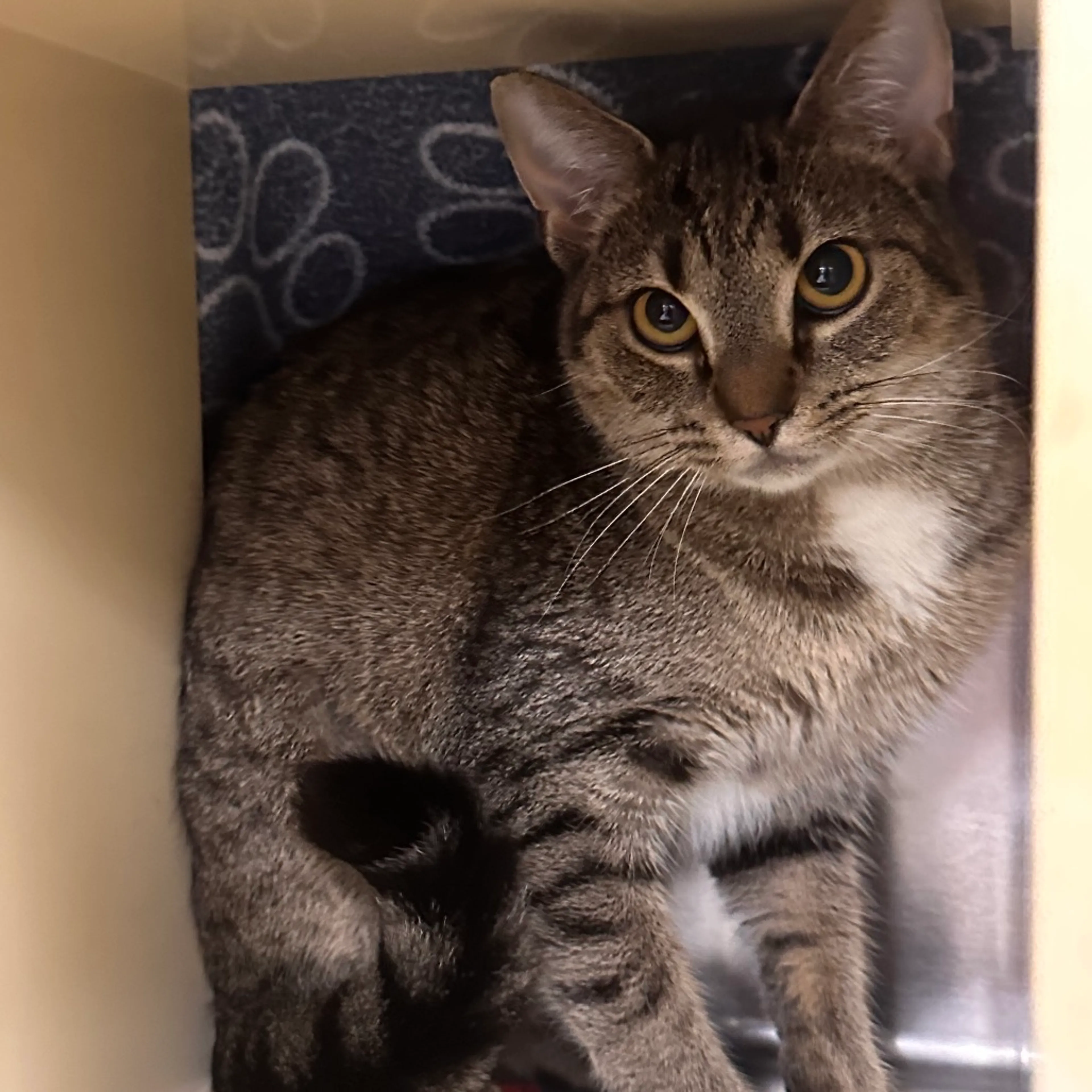-0