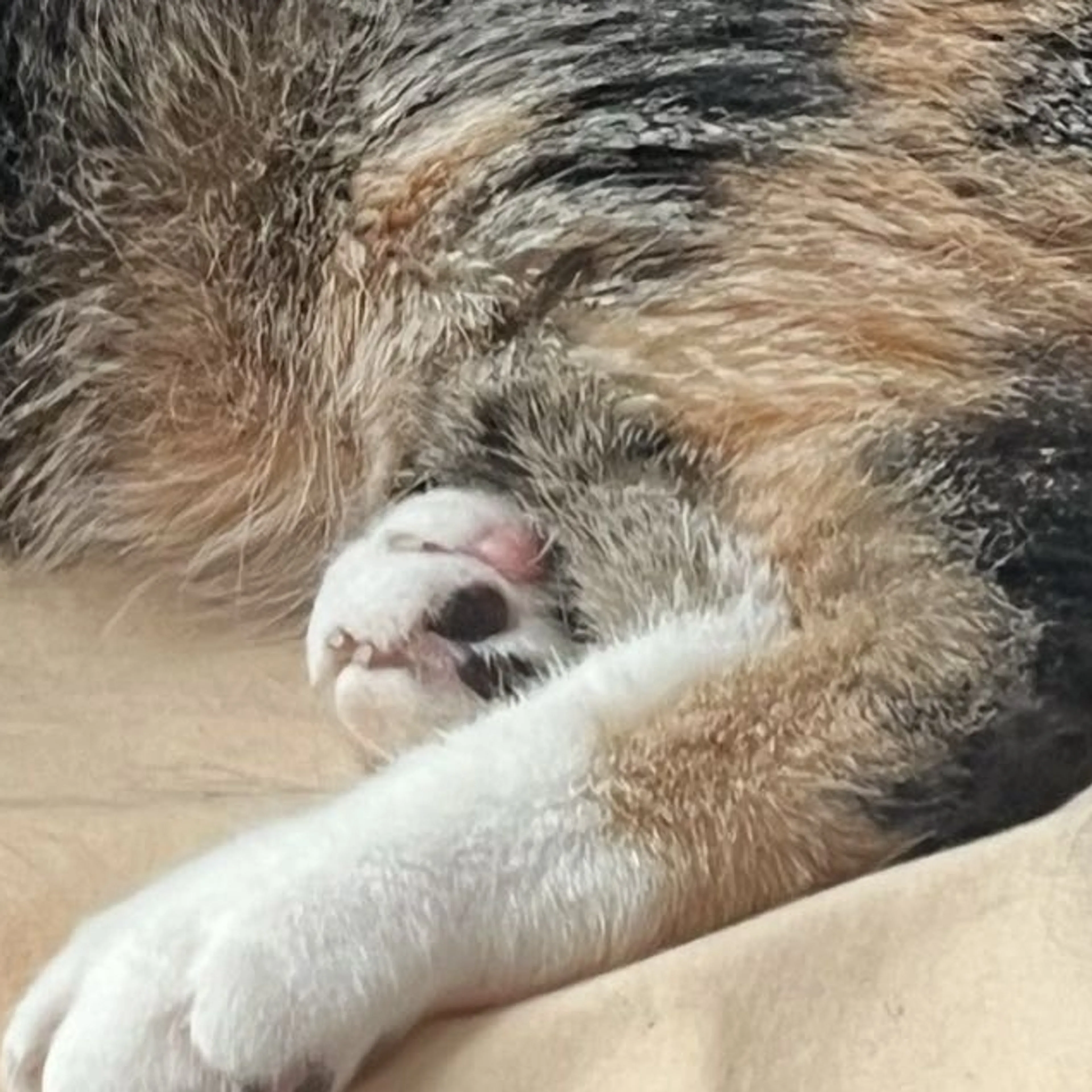 -3