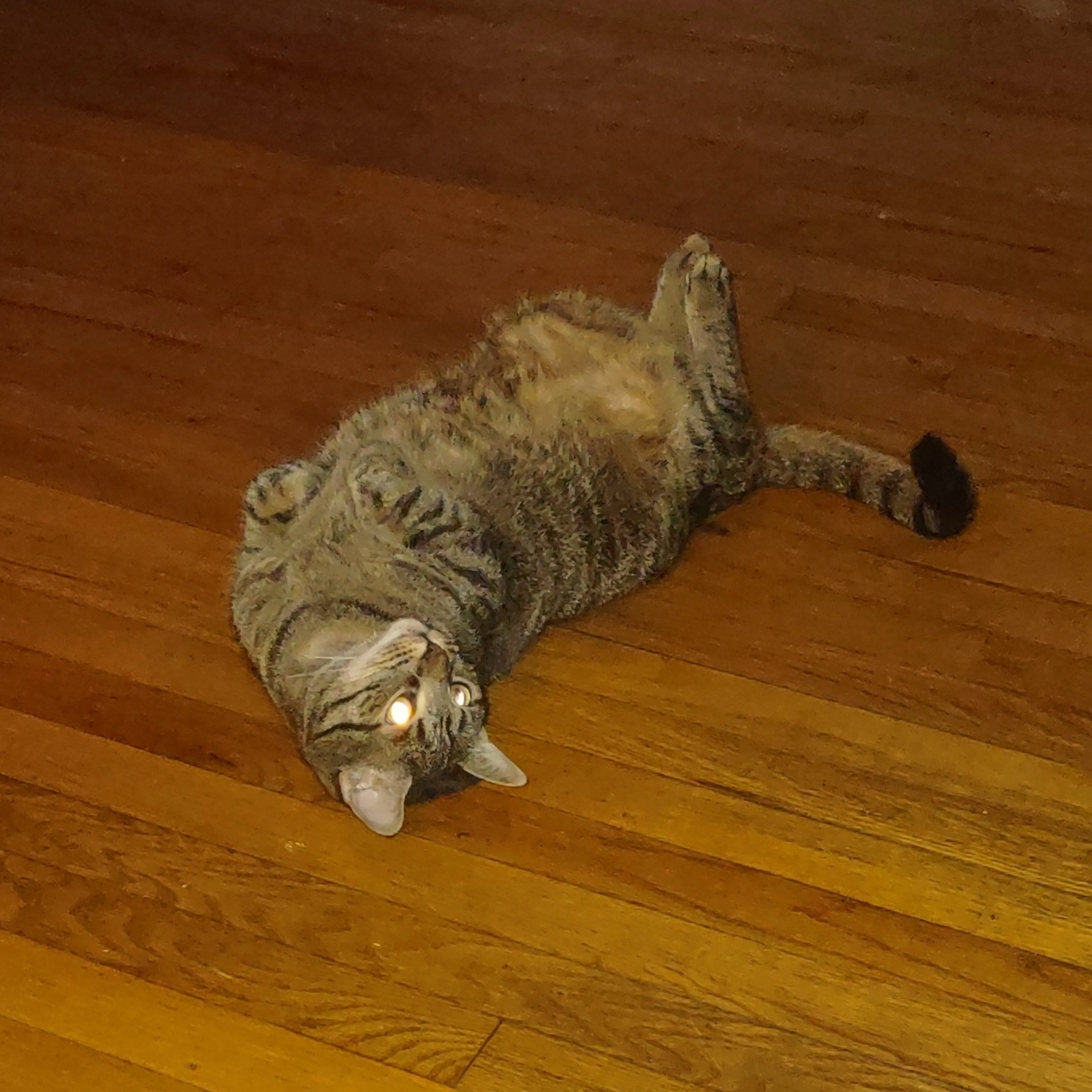 -1