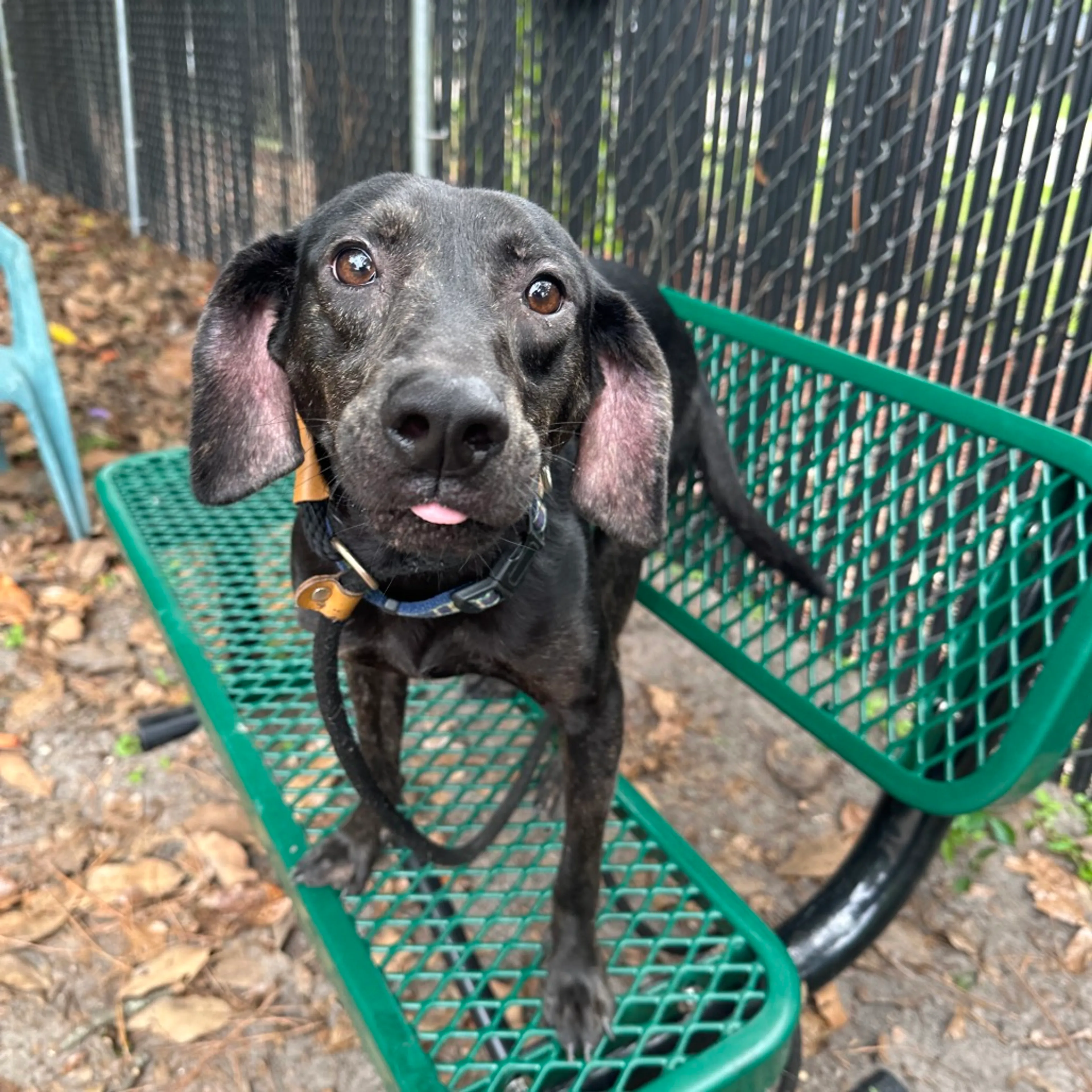 -3