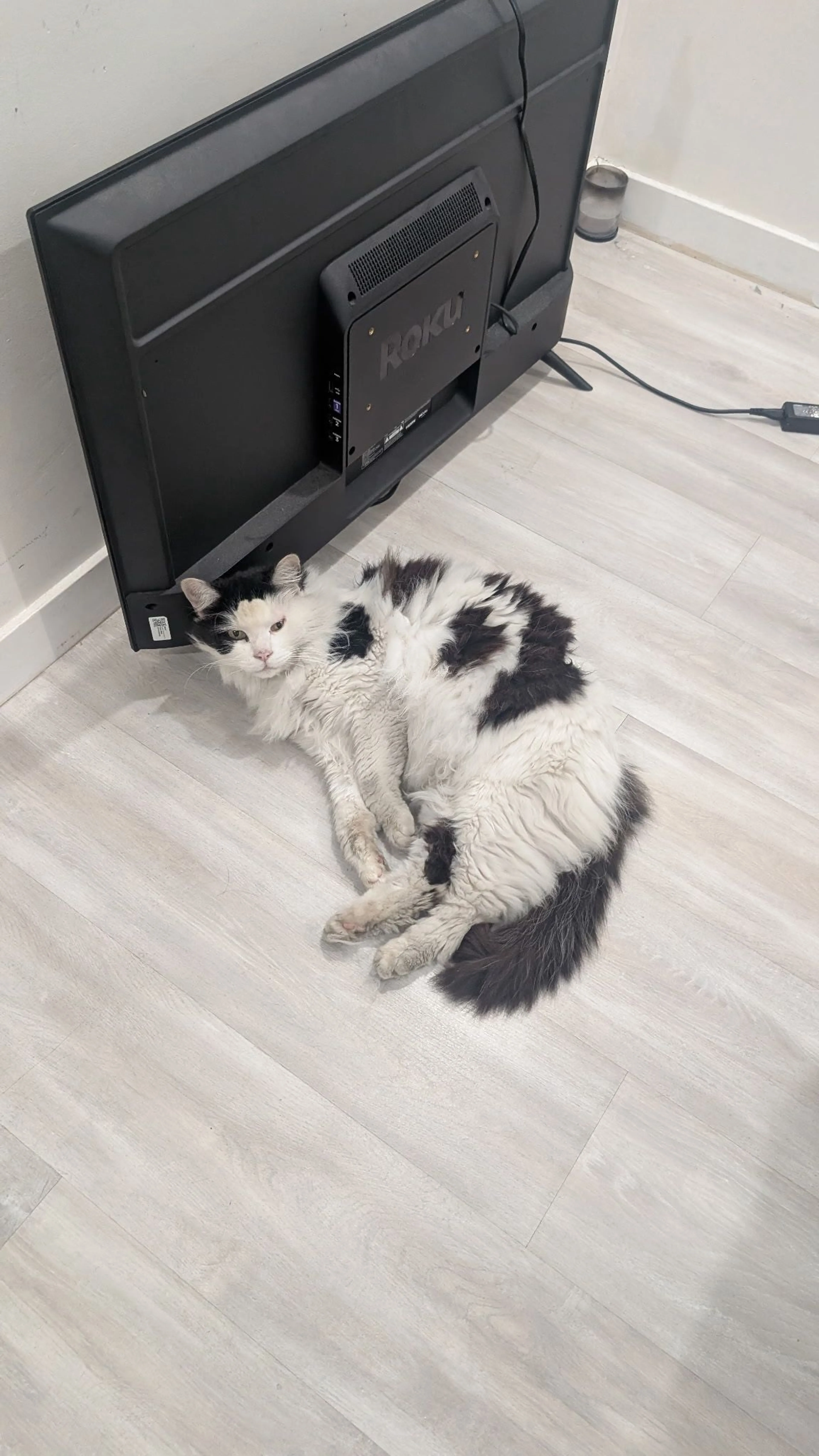 cdn image