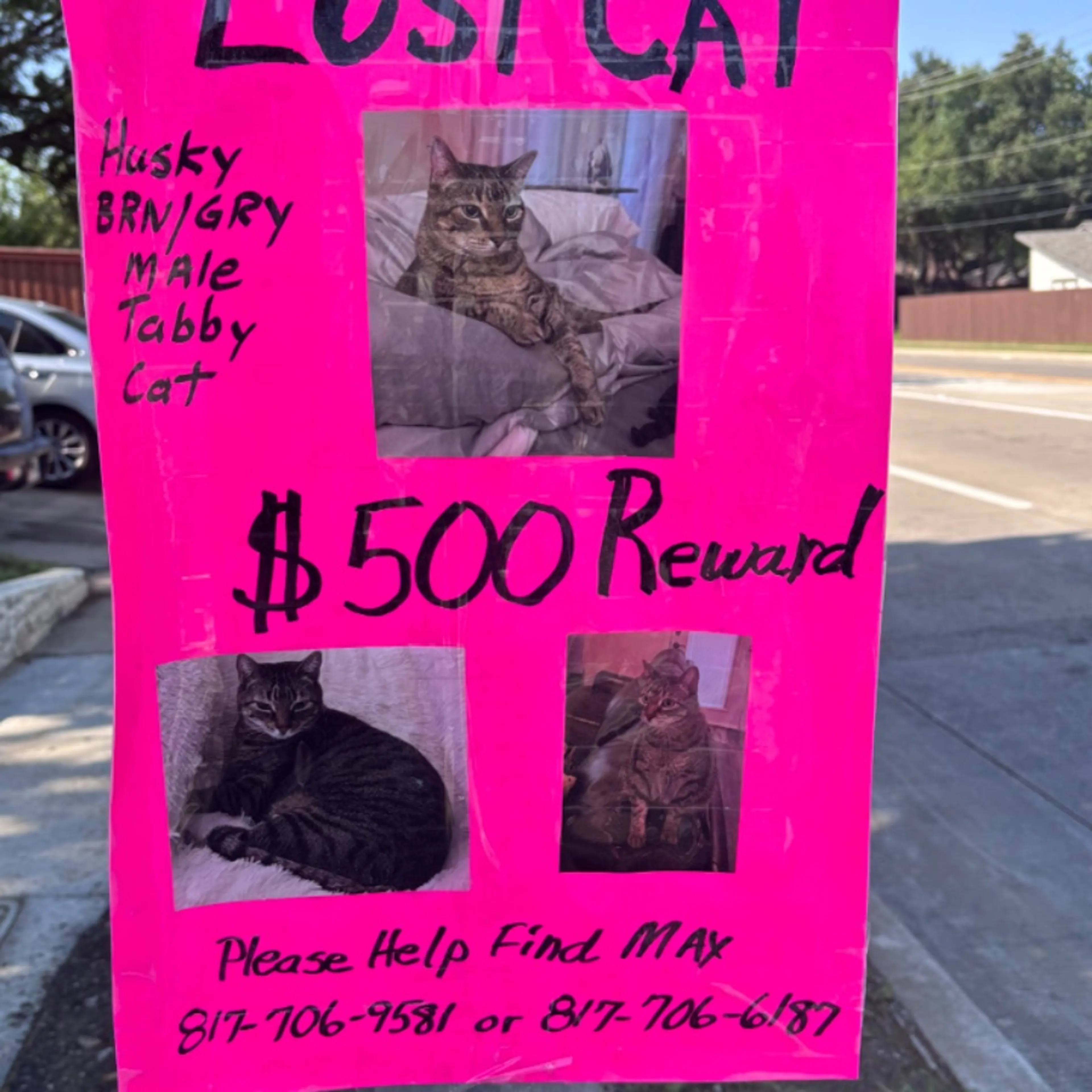 cdn image