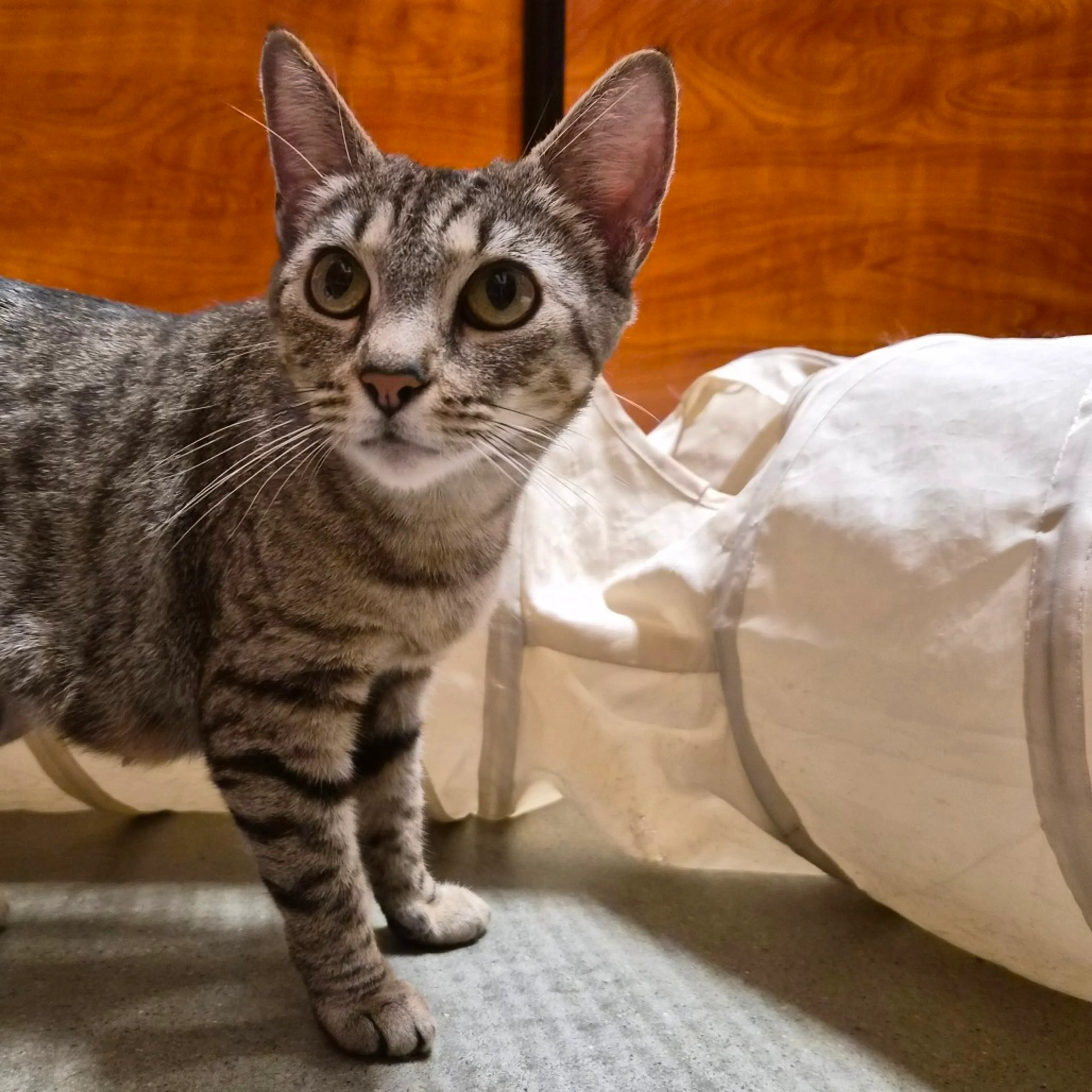 -7