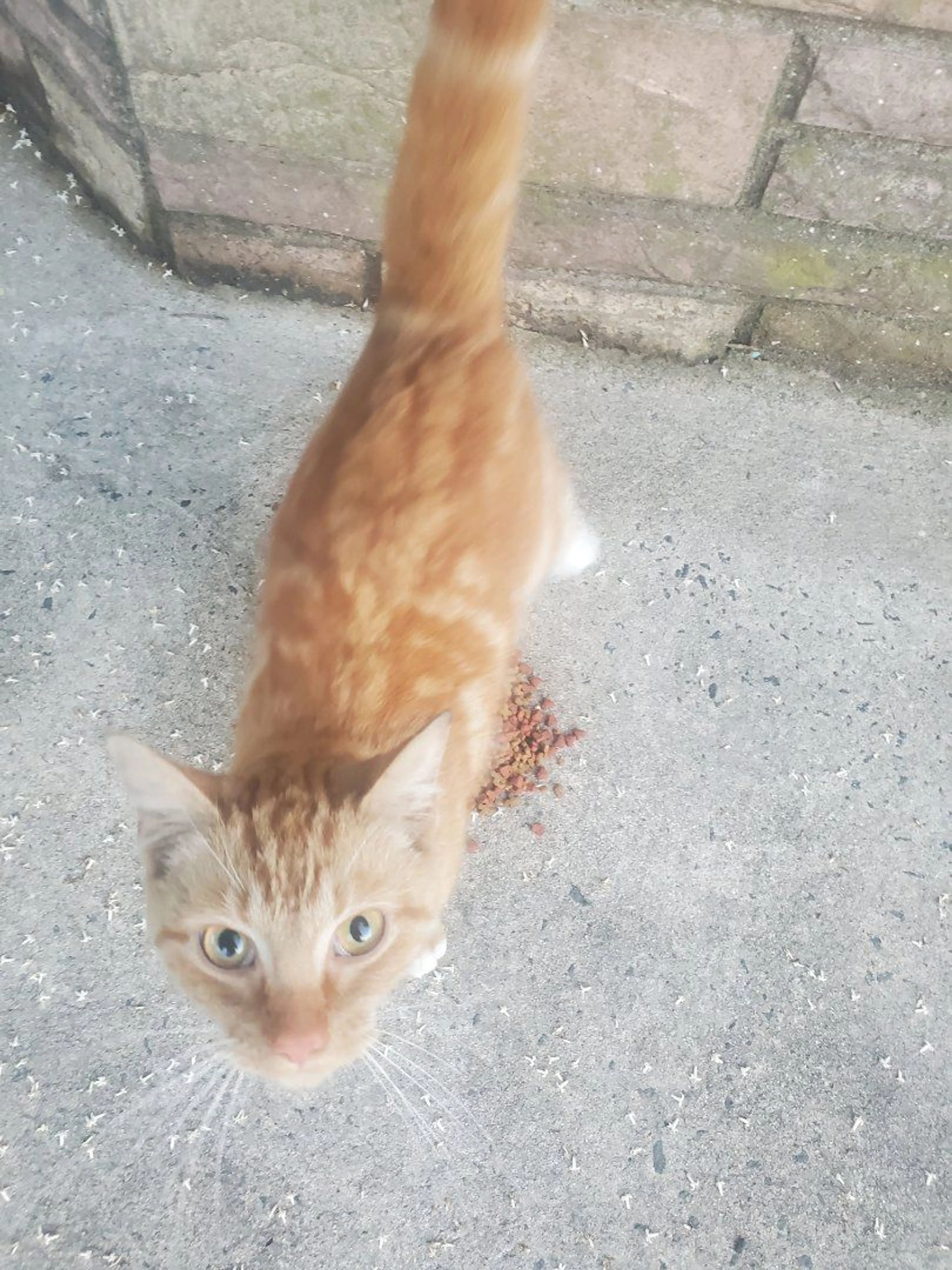 -1