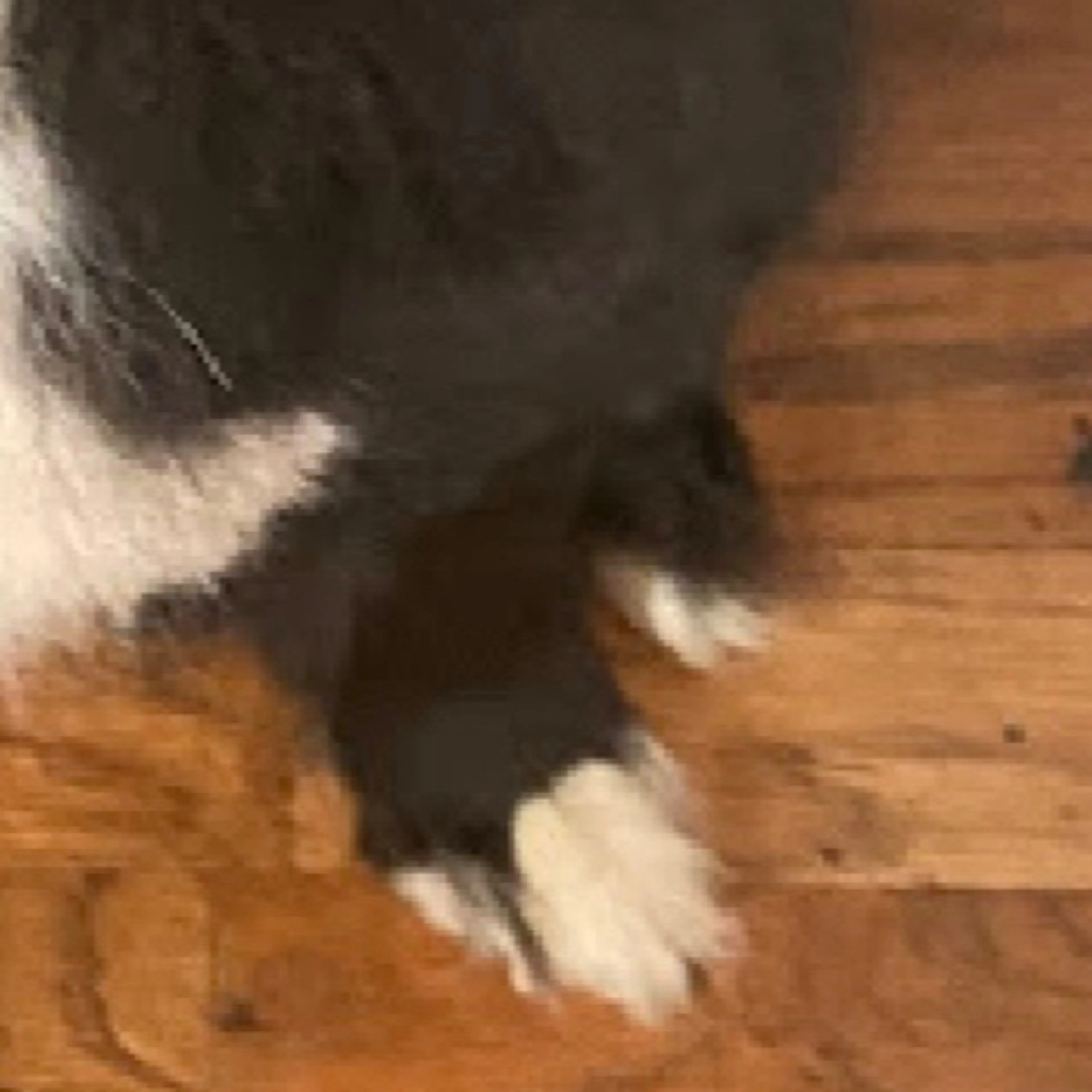 -3