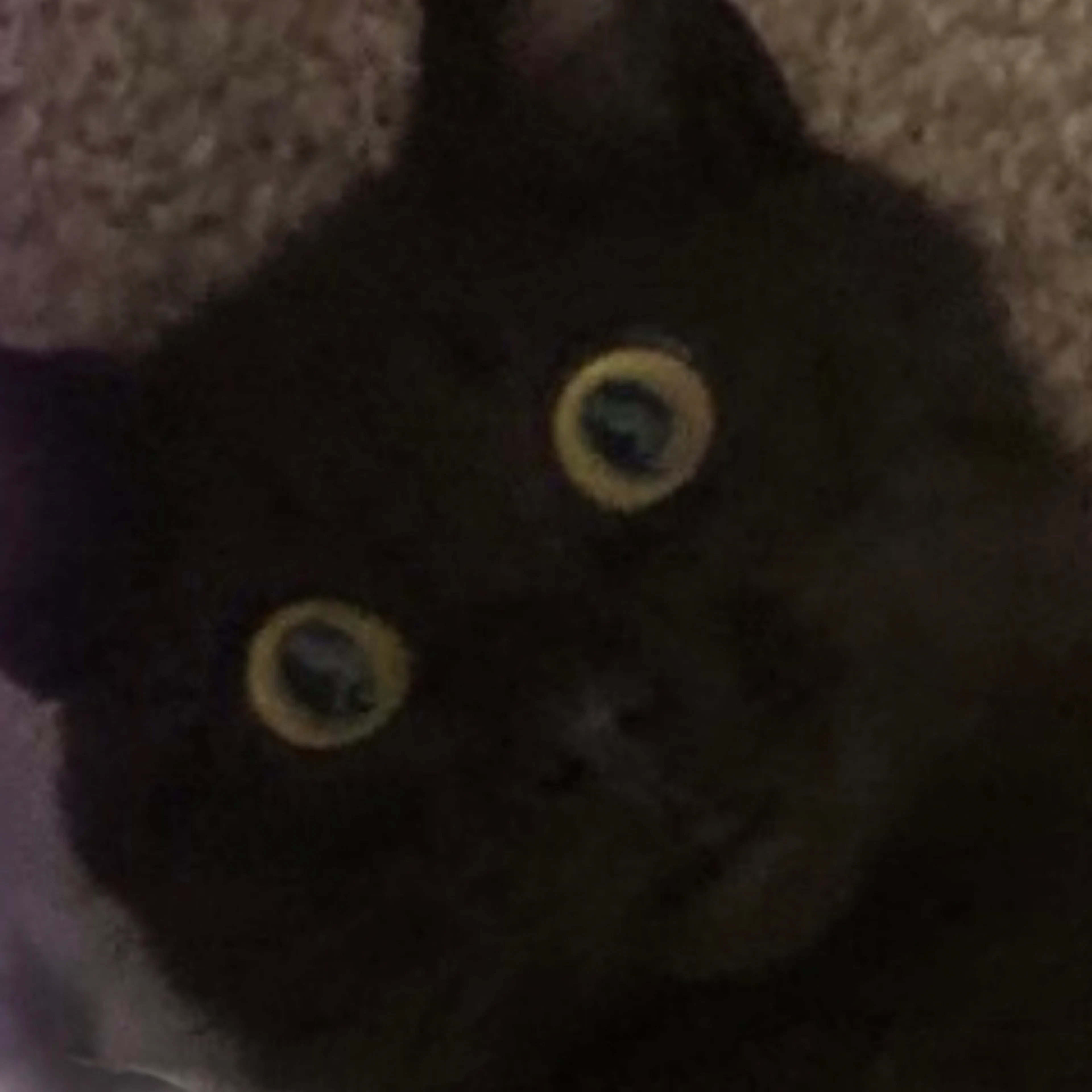 -1