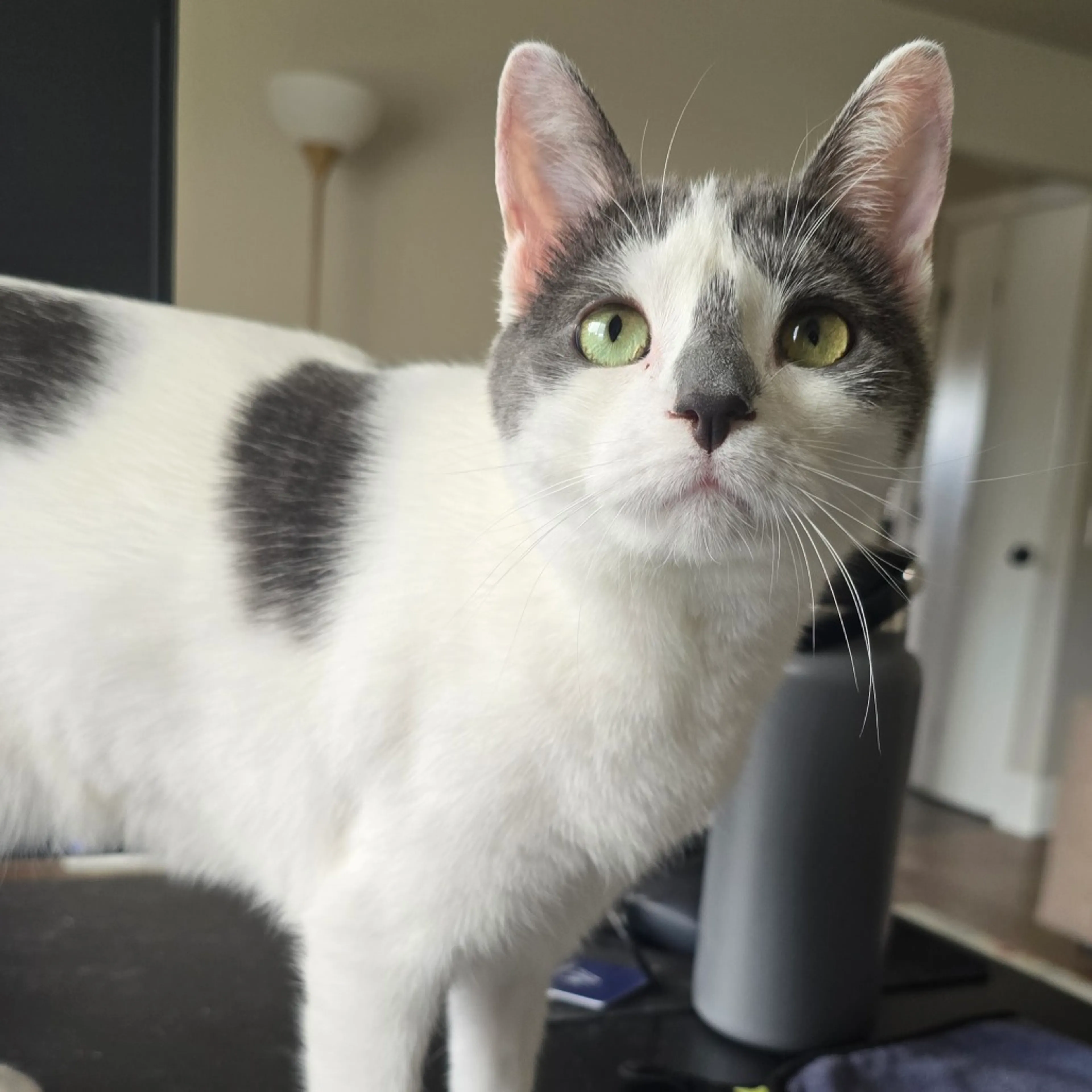 -11