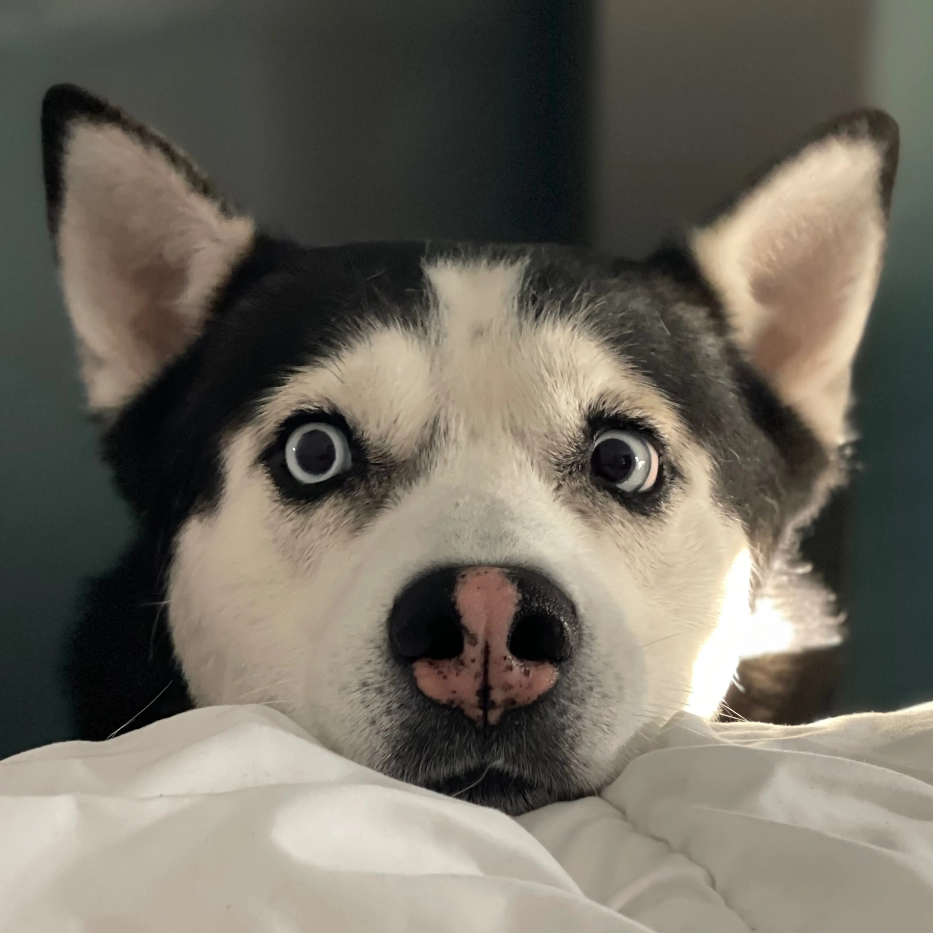 -3