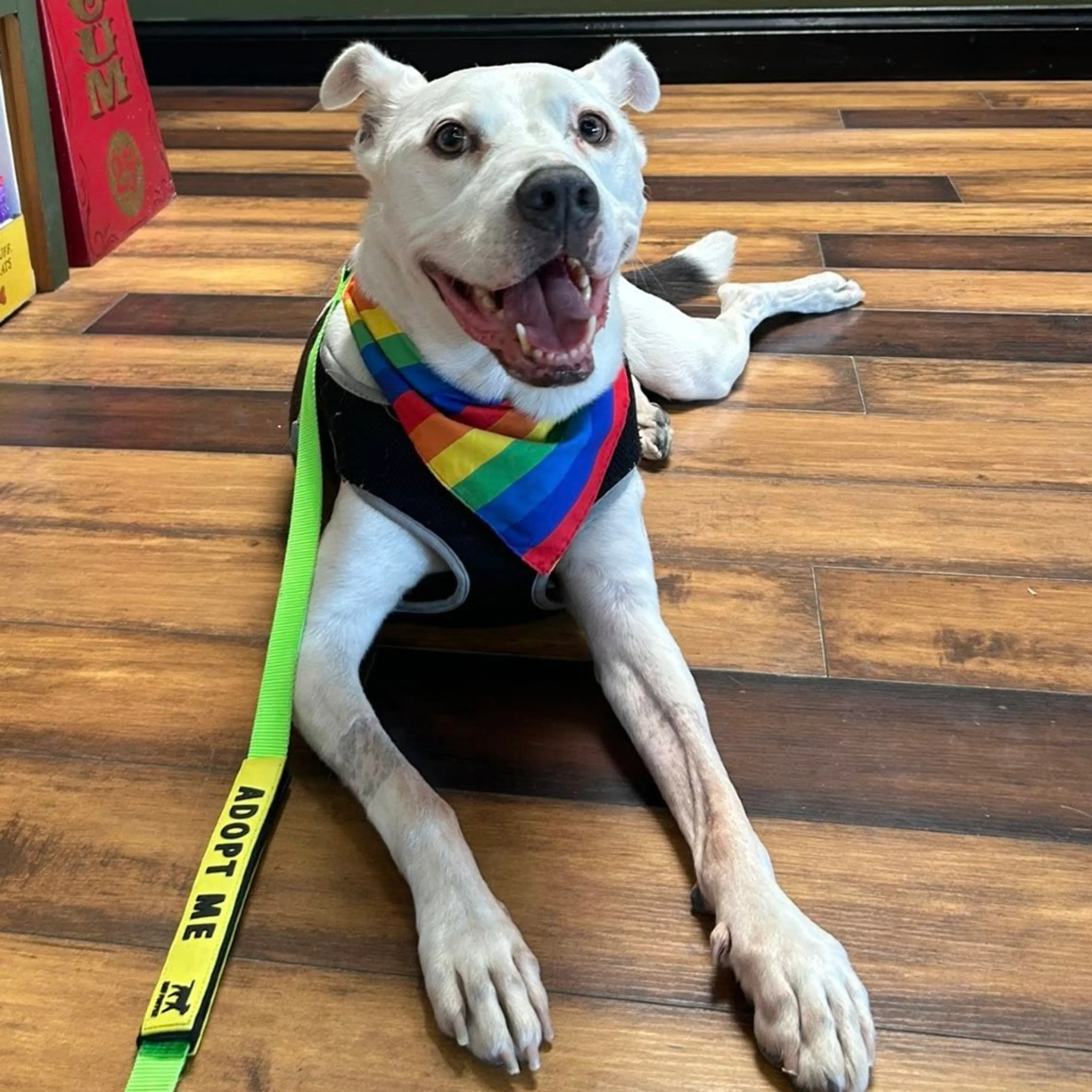 -11