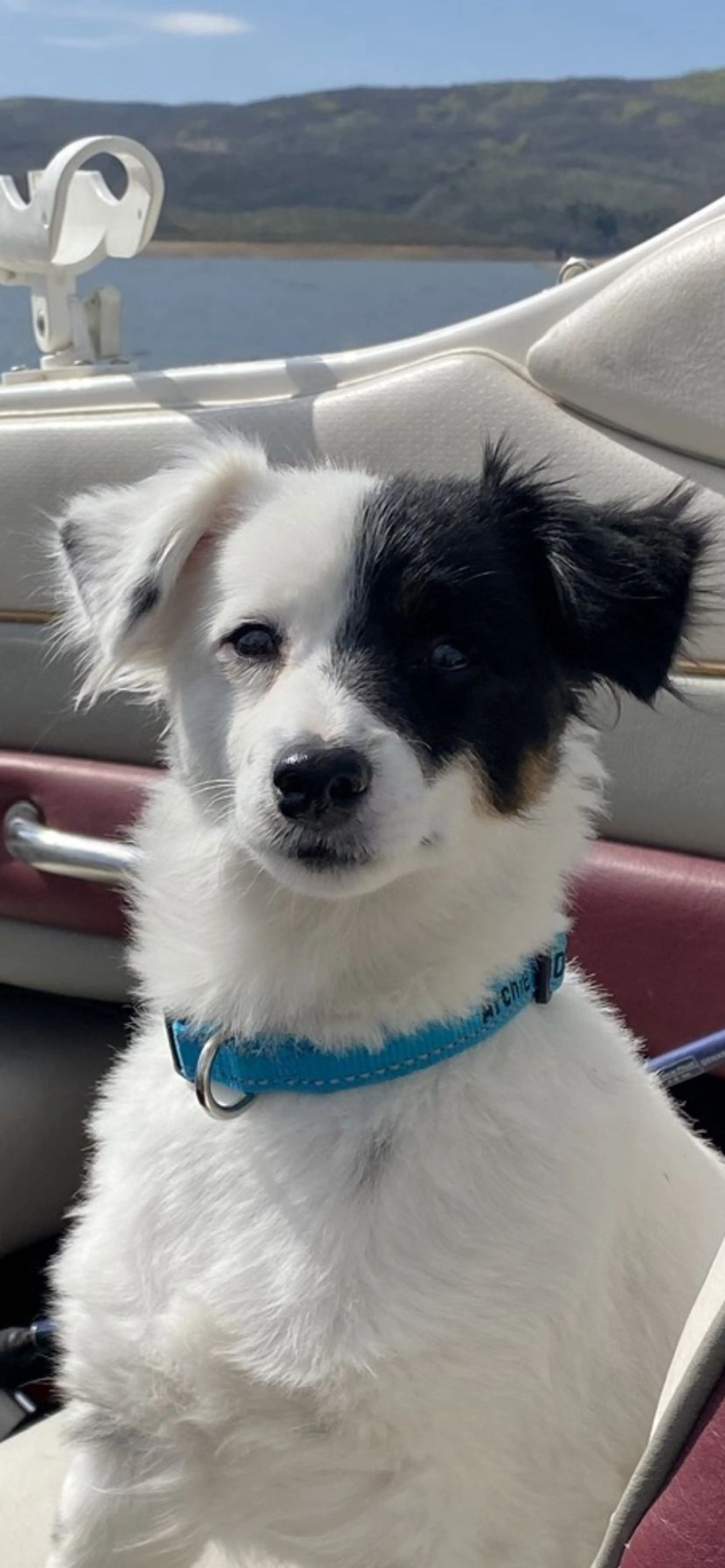 -2