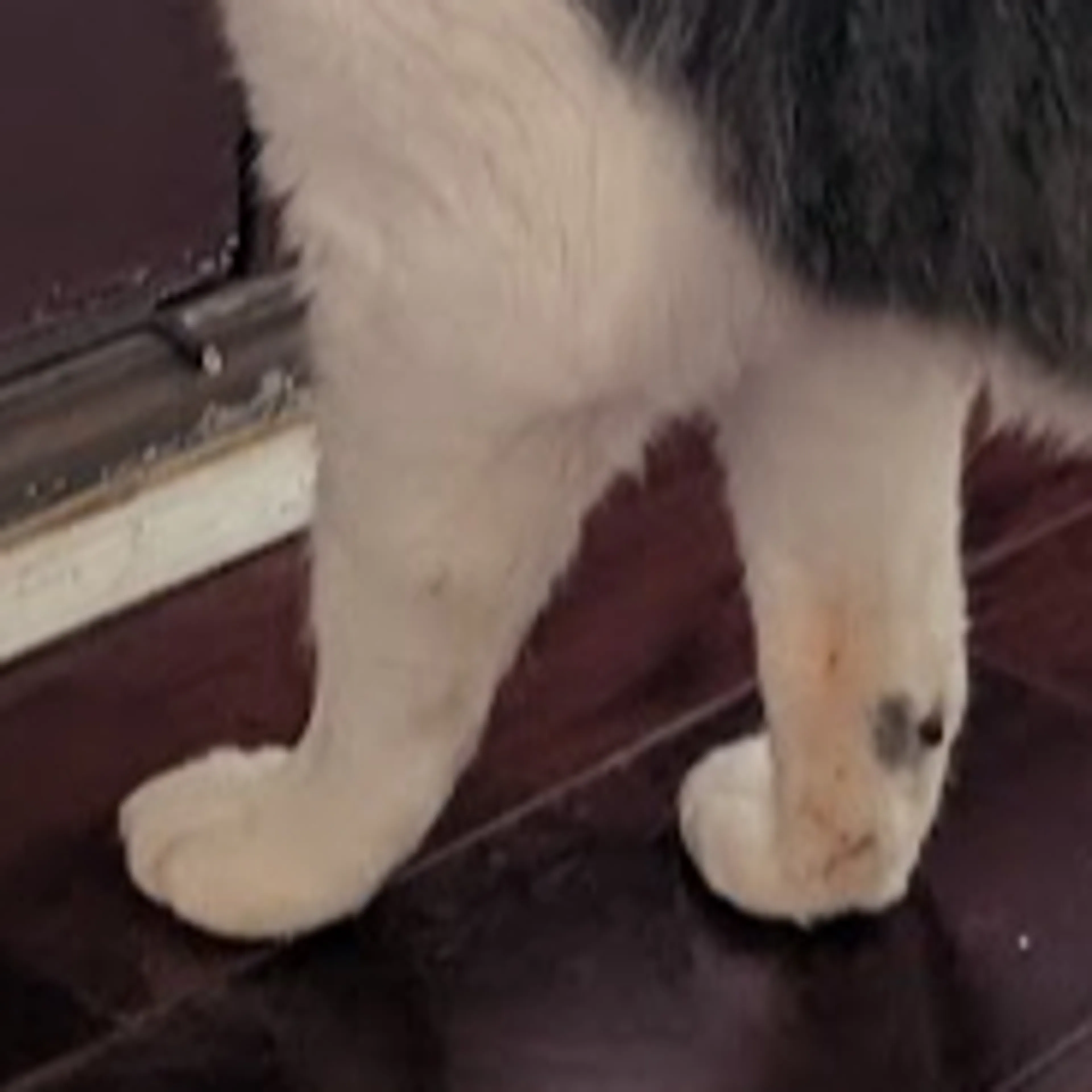 -3