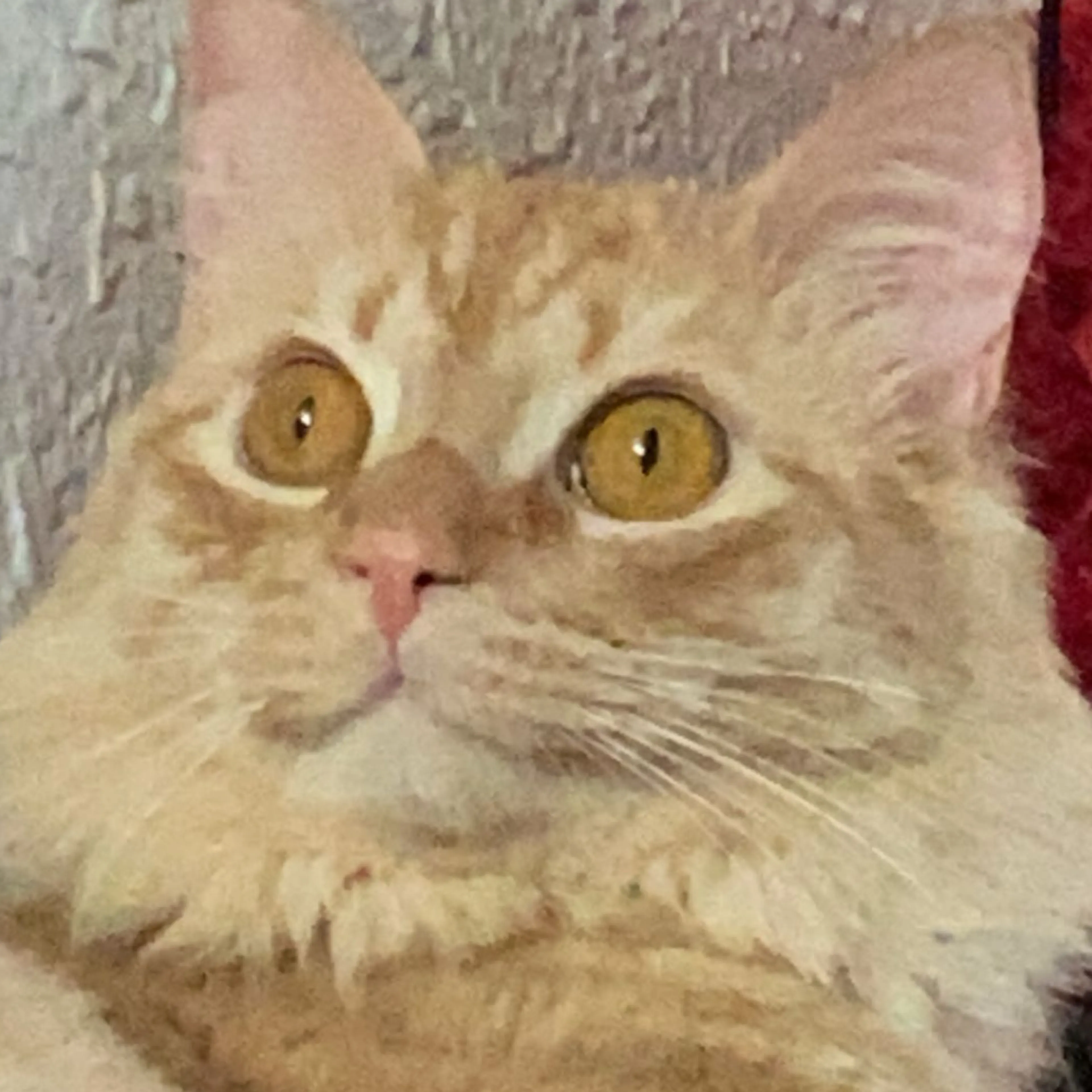 -3