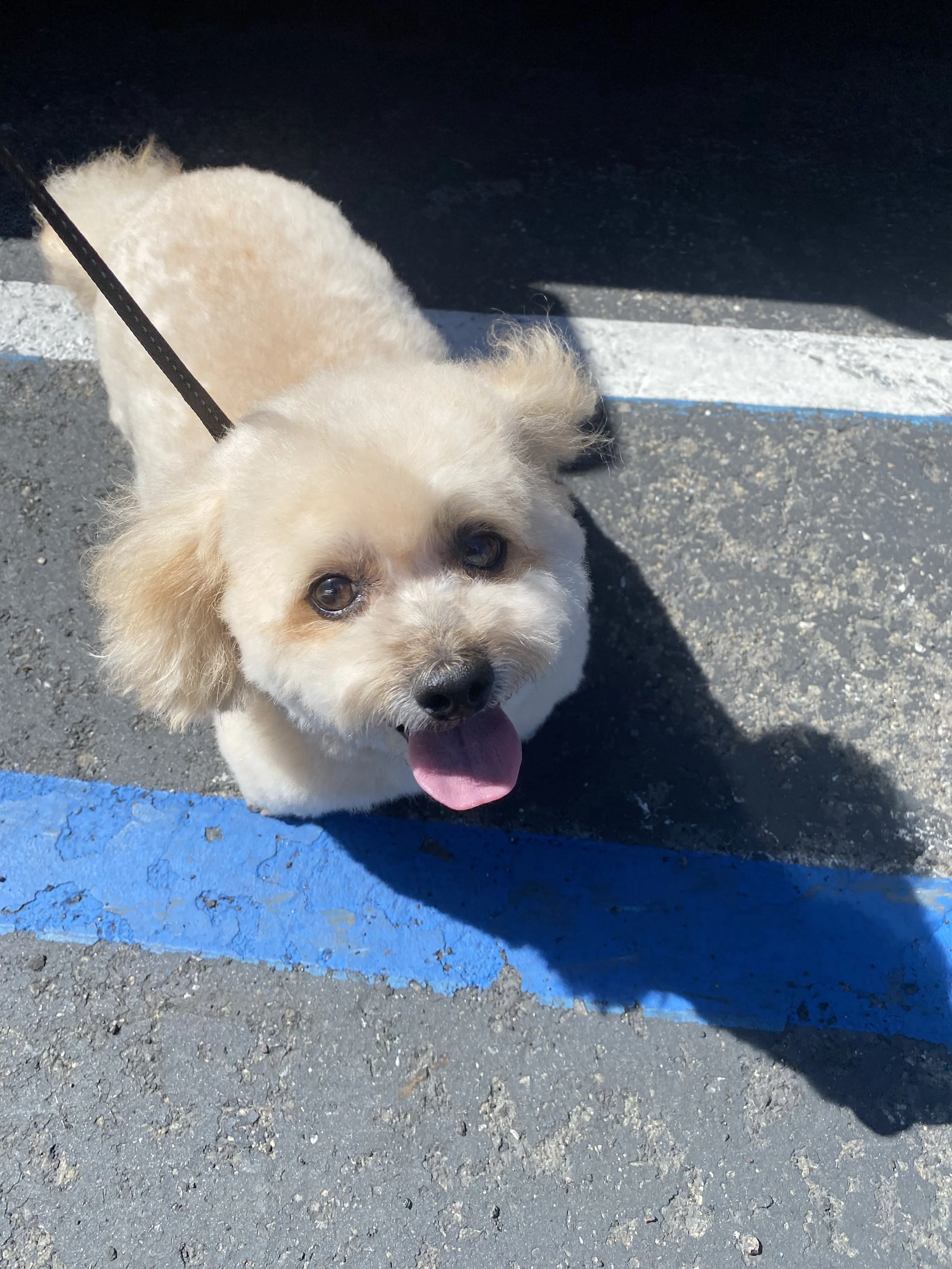 -0
