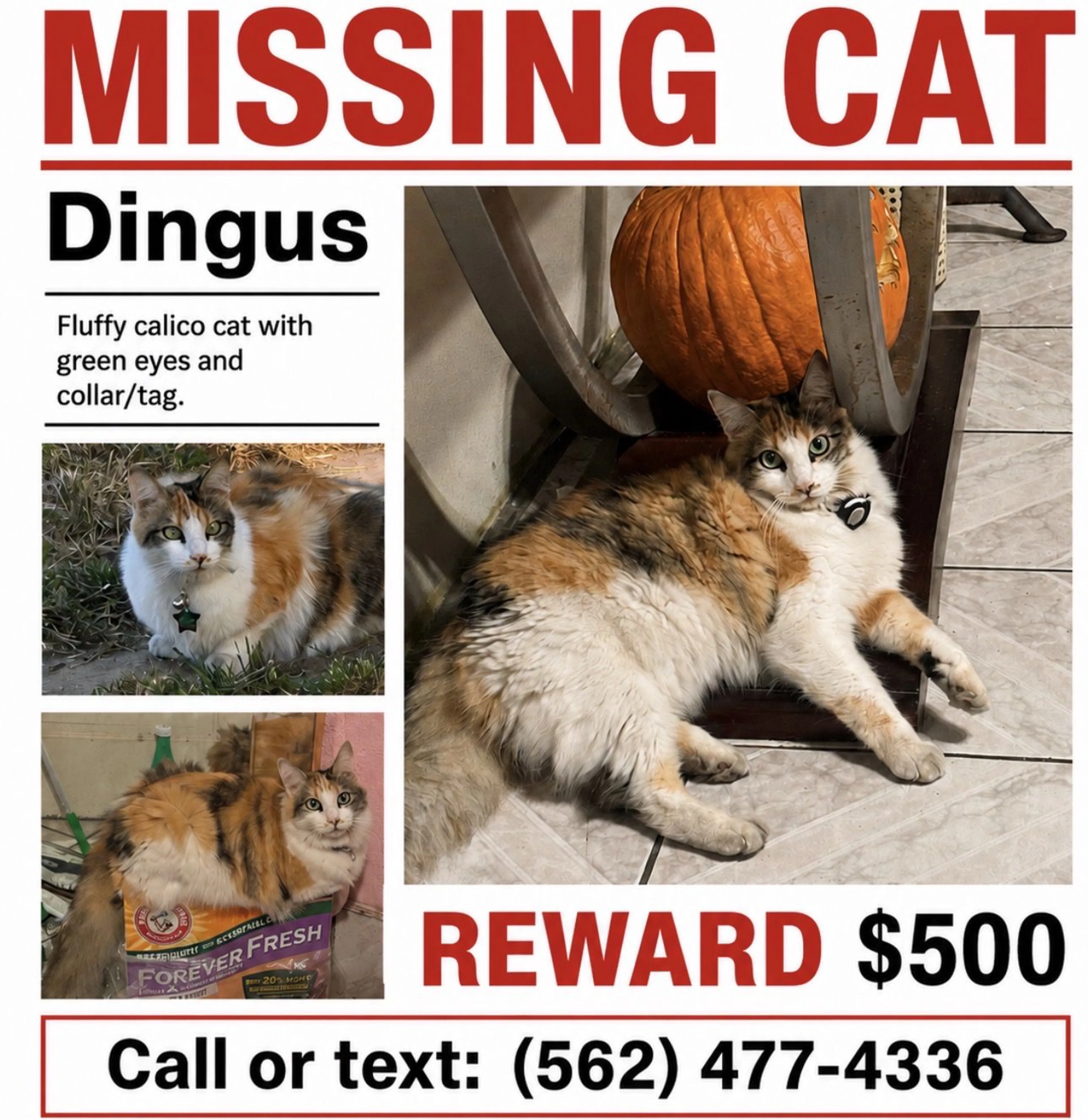 cdn image