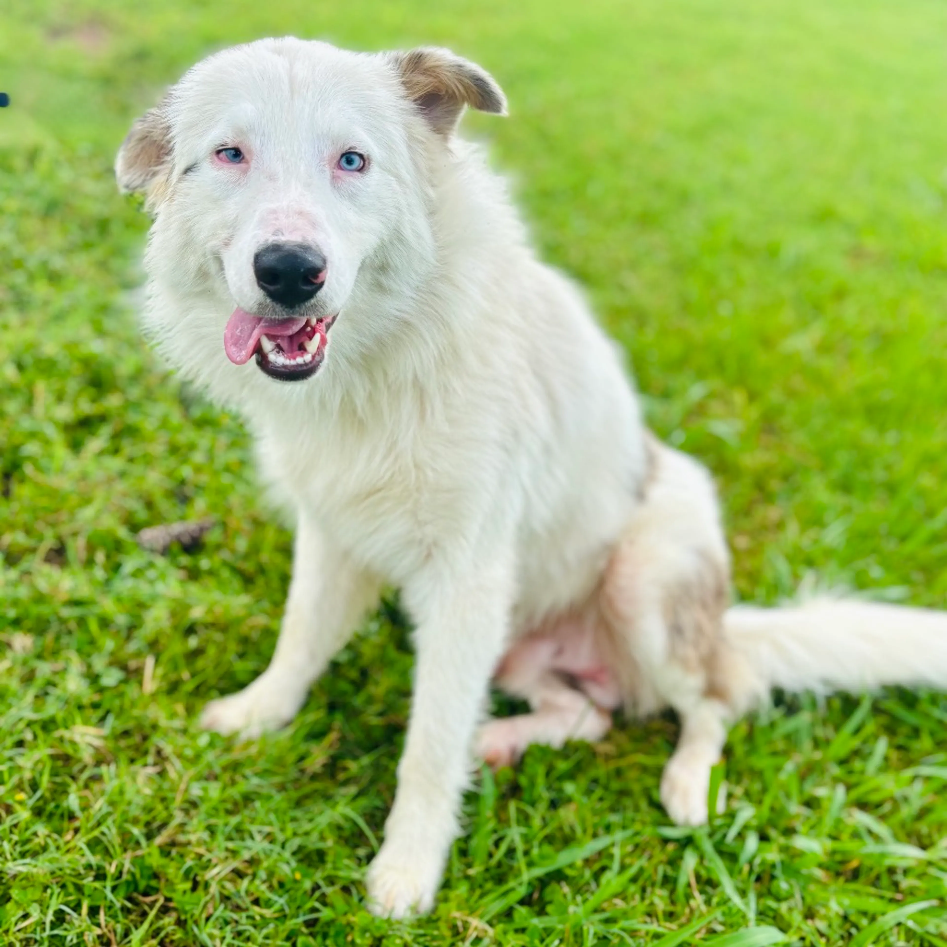 -6