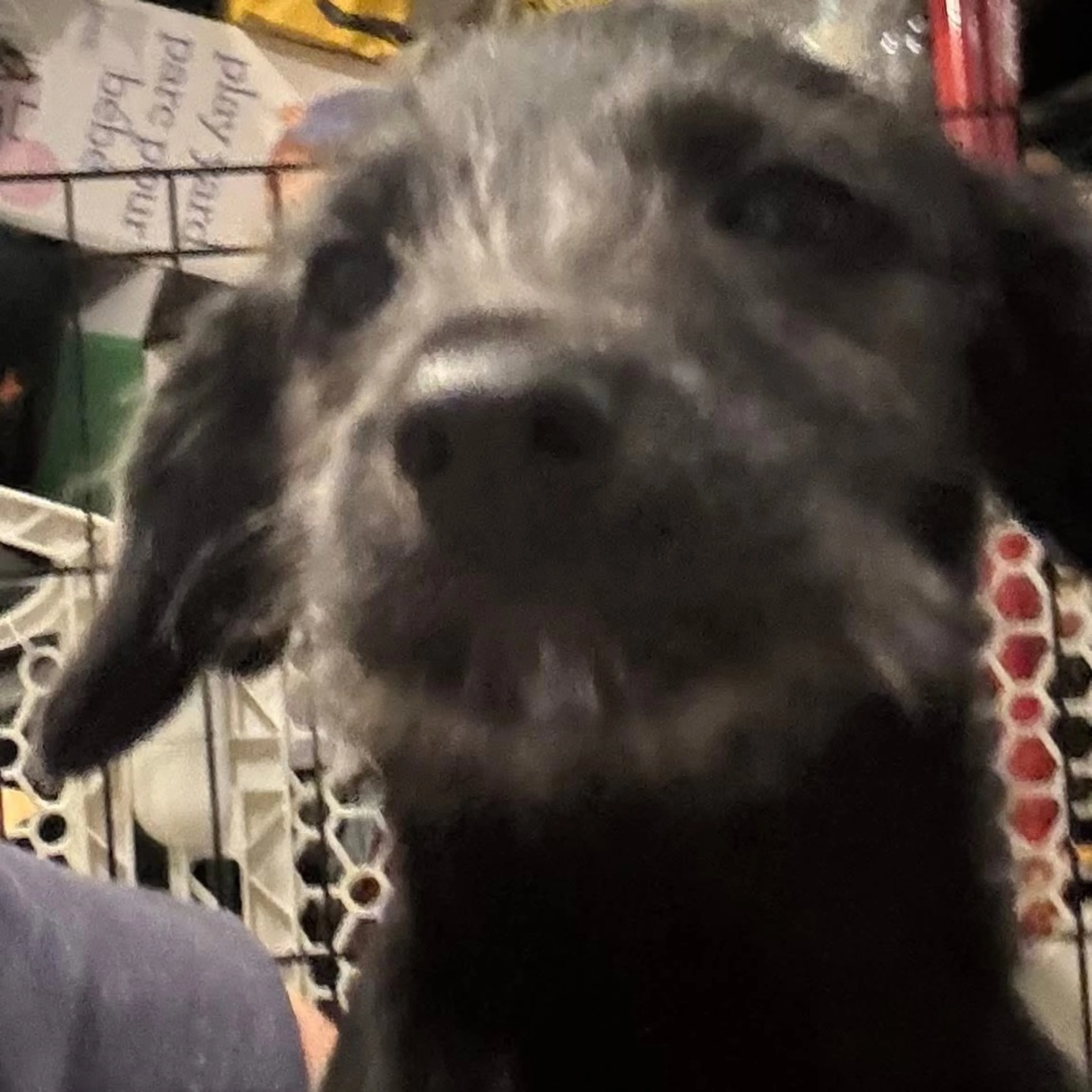 -5