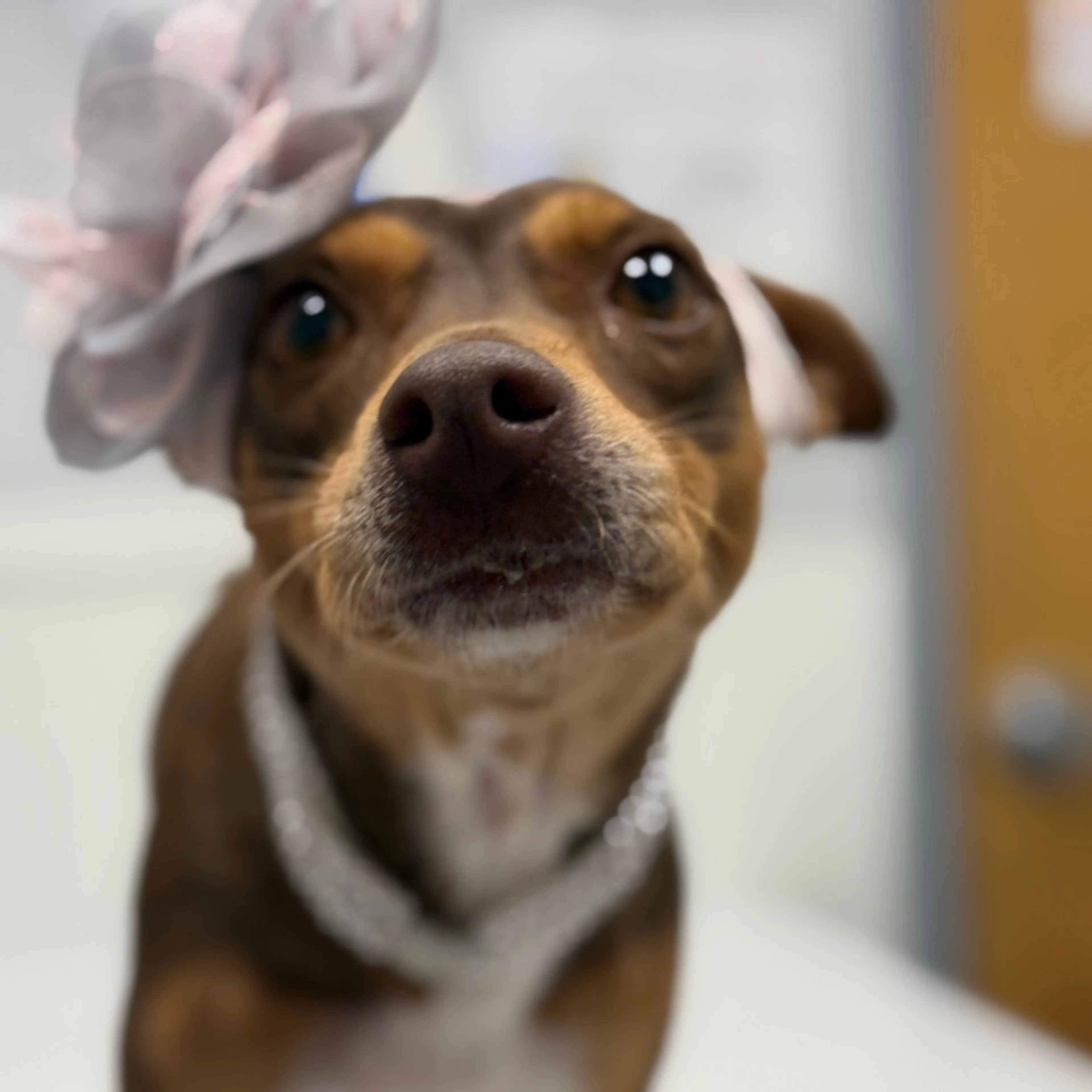 -11